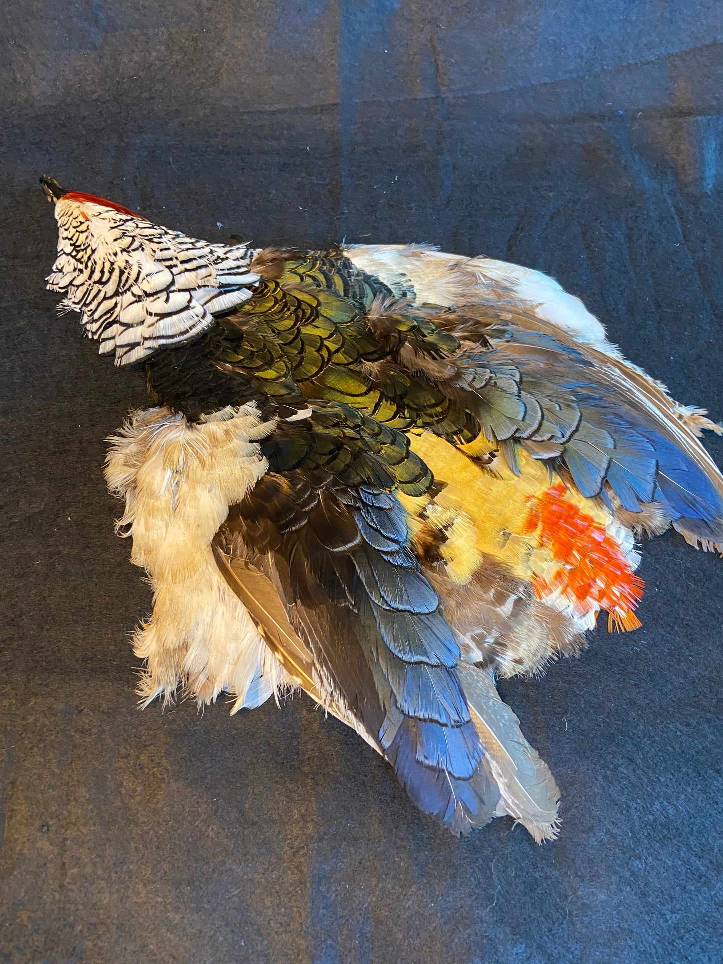 Iridescent Green Bronze Lady Amherst Humu Papale (feather hat band)