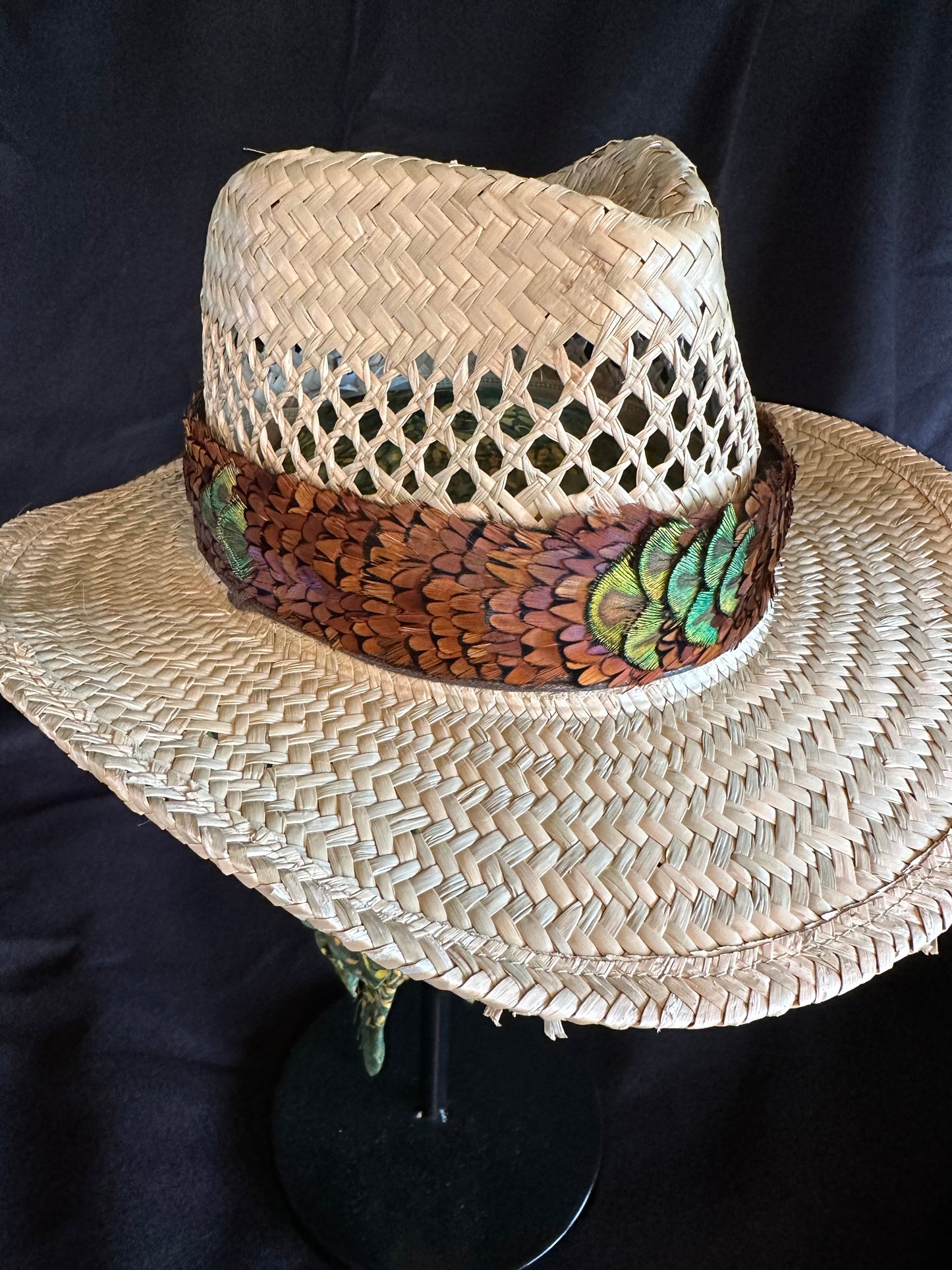 Brown Ringneck pheasant heart feathers with gold peacock accented humu papale (feather hat band)