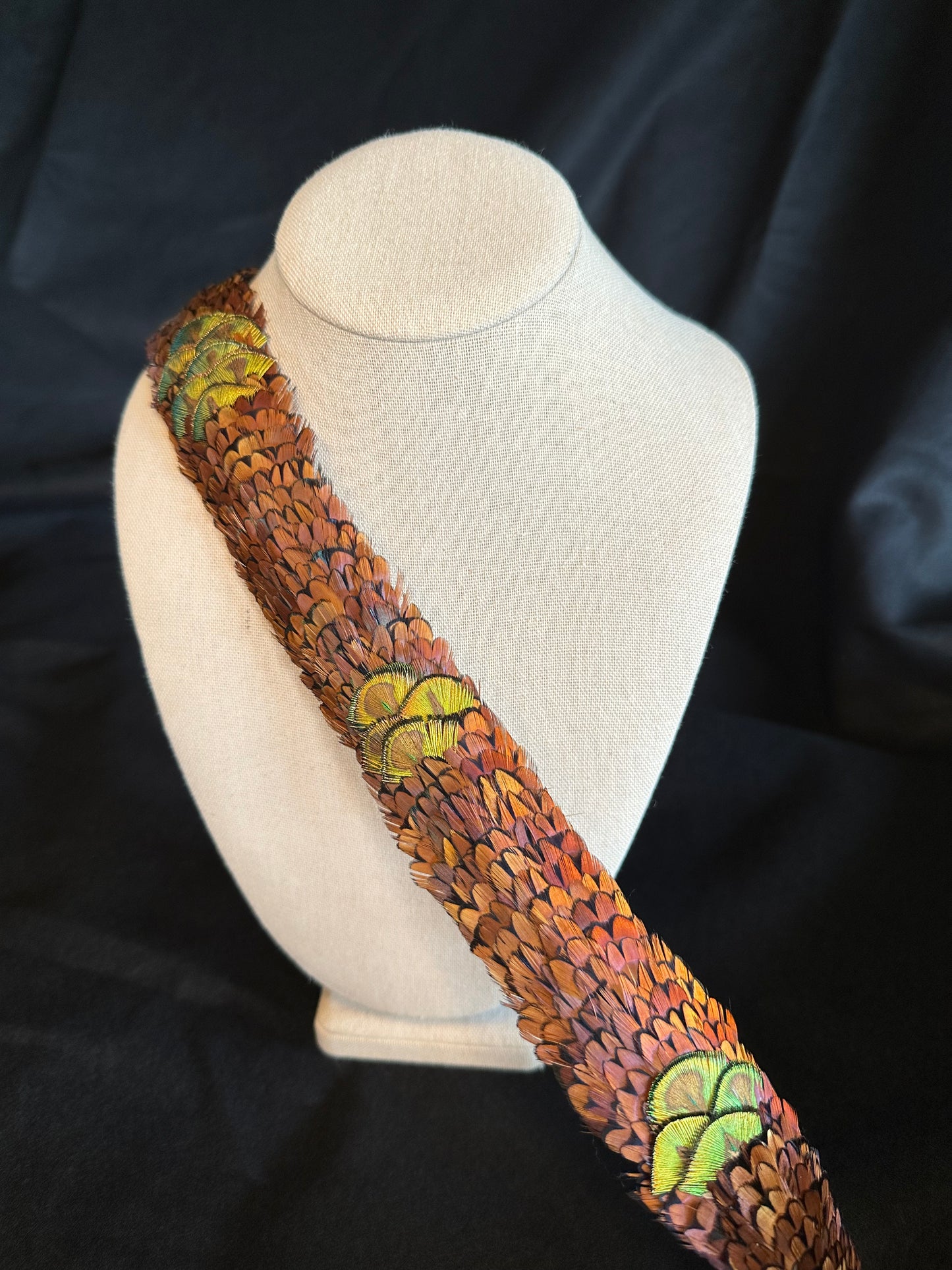Brown Ringneck pheasant heart feathers with gold peacock accented humu papale (feather hat band)