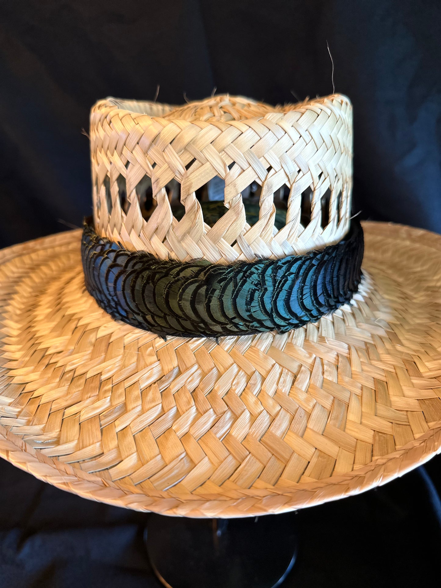 Iridescent Green Bronze Lady Amherst Humu Papale (feather hat band)