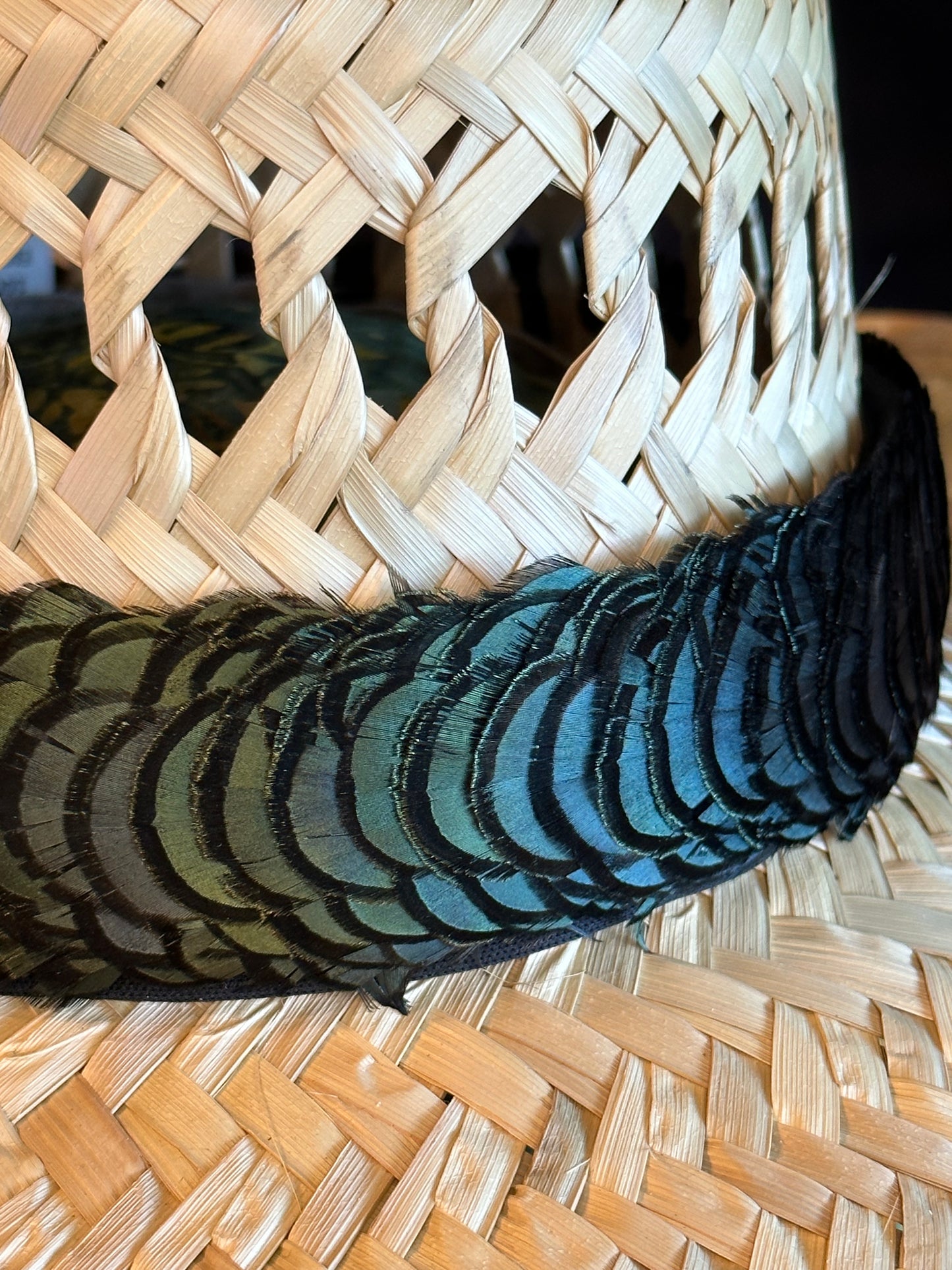 Iridescent Green Bronze Lady Amherst Humu Papale (feather hat band)