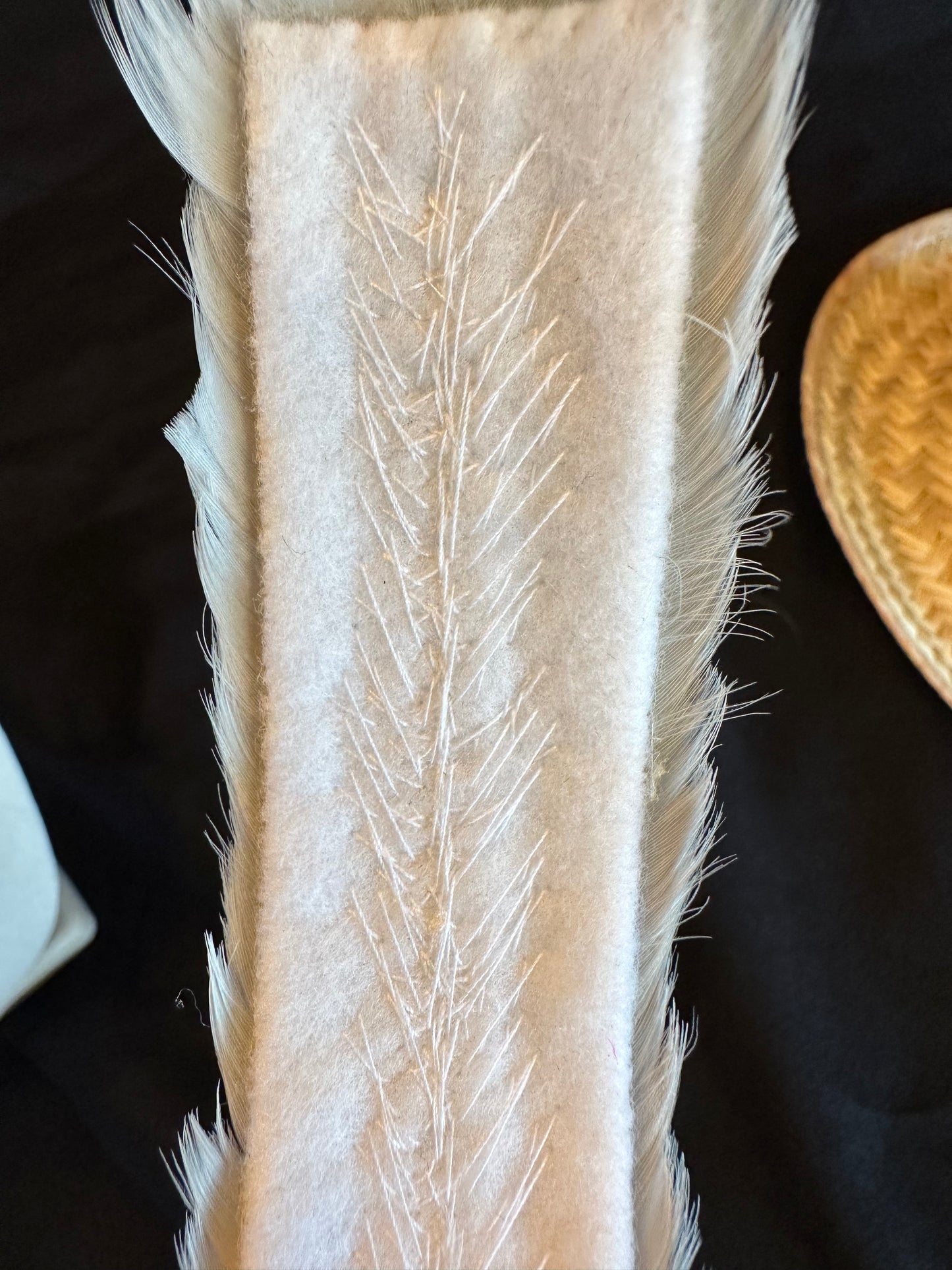 Gray and Green Goose Humu Papale (feather hat band) w/peacock accents