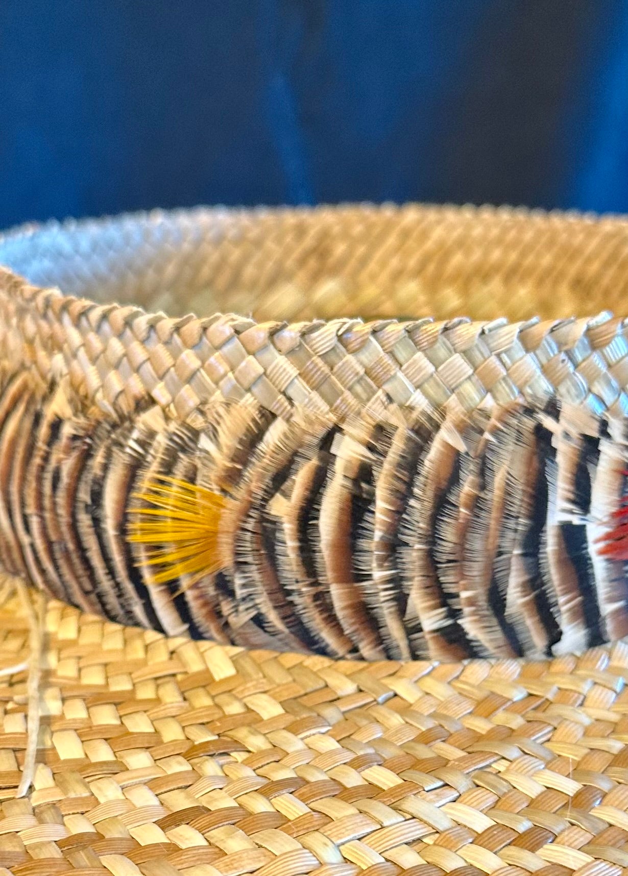 24" Chukar with Golden Pheasant accent Humu Papale (feather hat band)