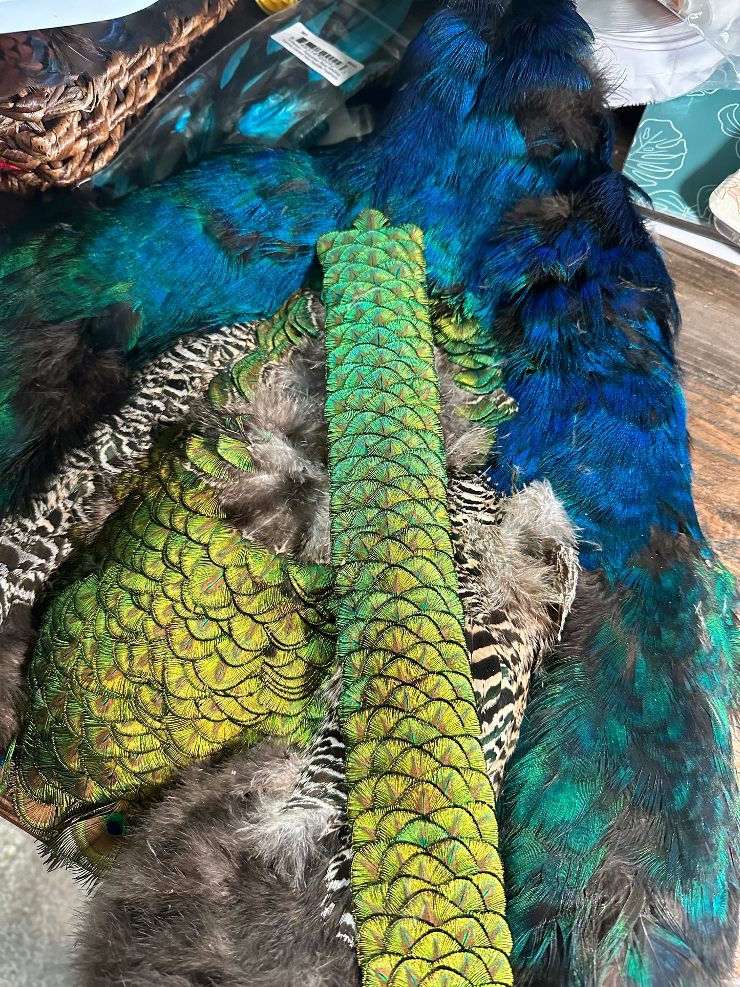 23-1/2" Gold Pennies Peacock Humu Papale (feather hat band)