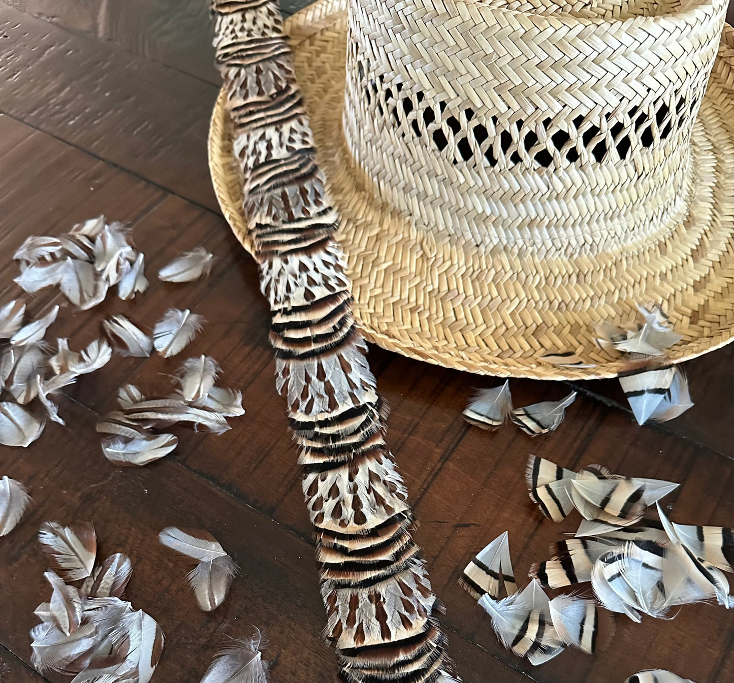 24" Chukar and Francolin Humu Papale (feather hat band)