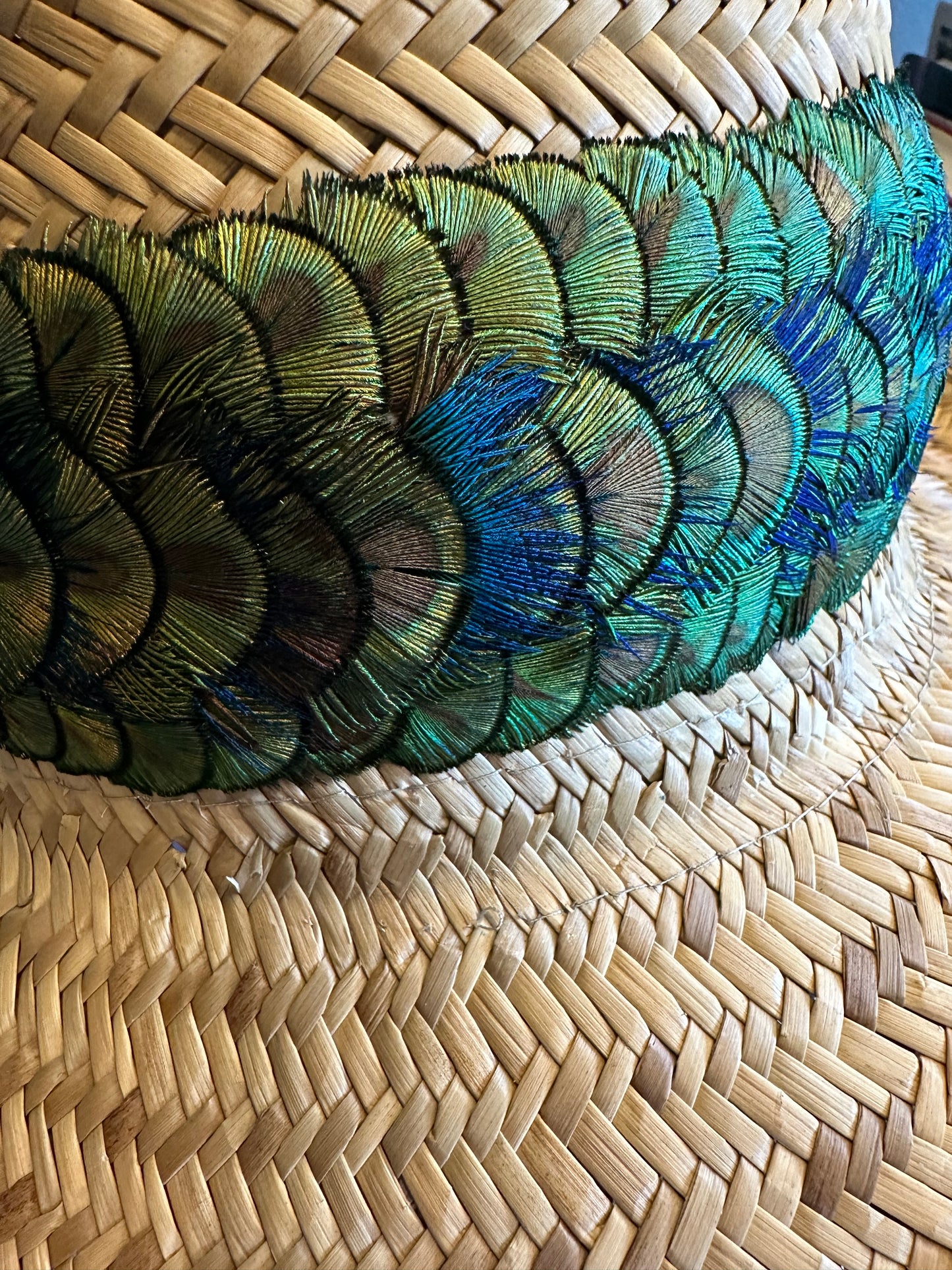 24" Peacock gold Penny w/blue peacock accent Humu Papale (feather hat band)