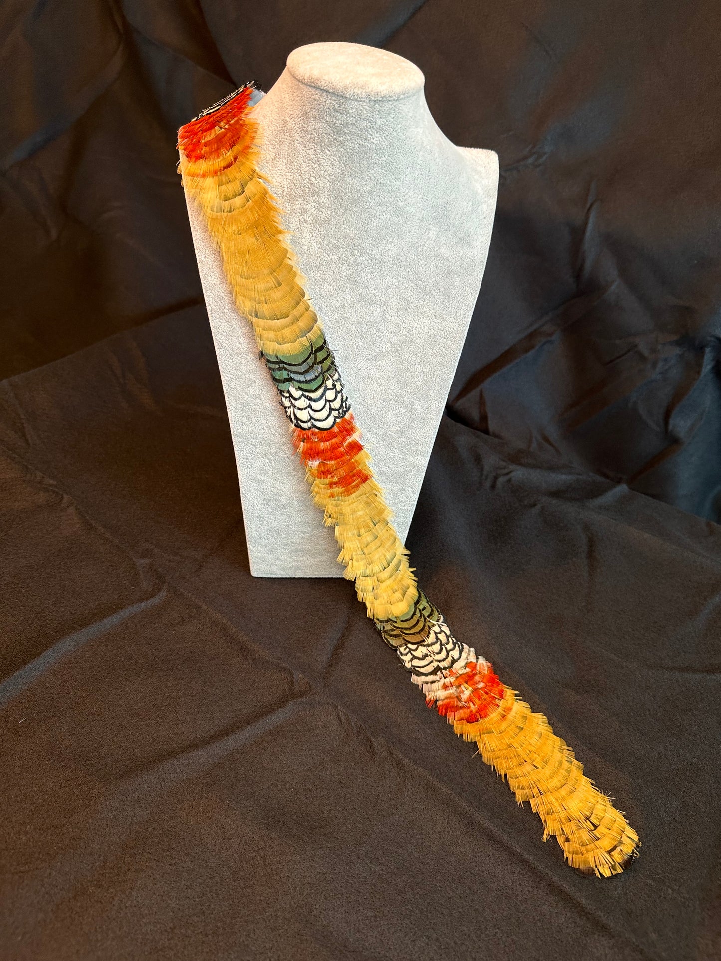 24-1/2" Lady Amherst Pheasant humu papale (feather hat band)