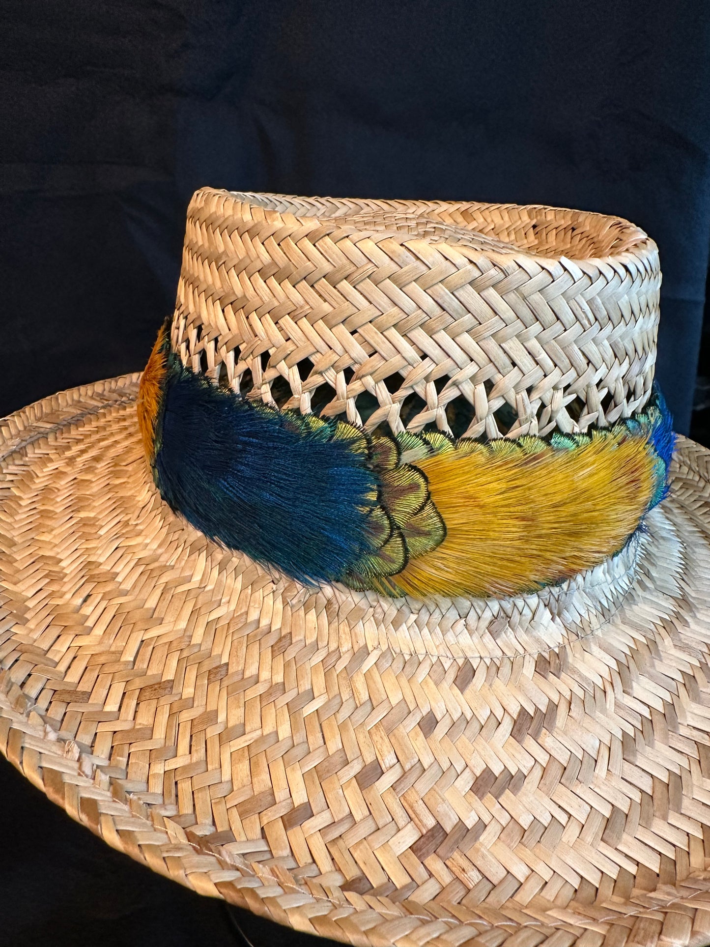 25" Hilo Style Peacock and Golden Pheasant Humu Papale (feather hatband)