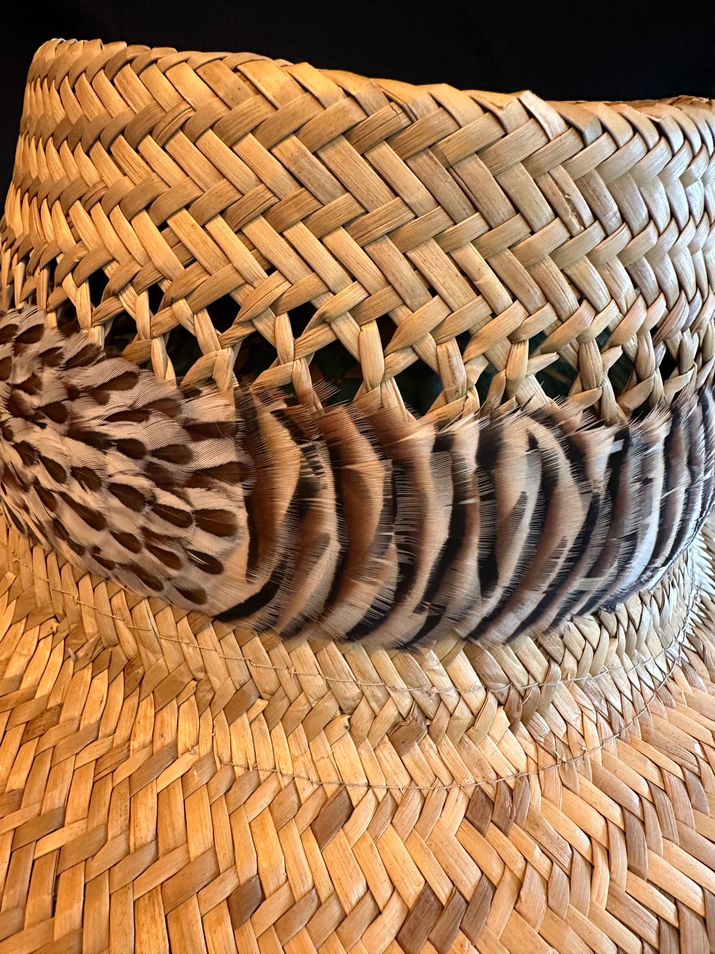 25" Chukar and Francolin Humu Papale (feather hat band)