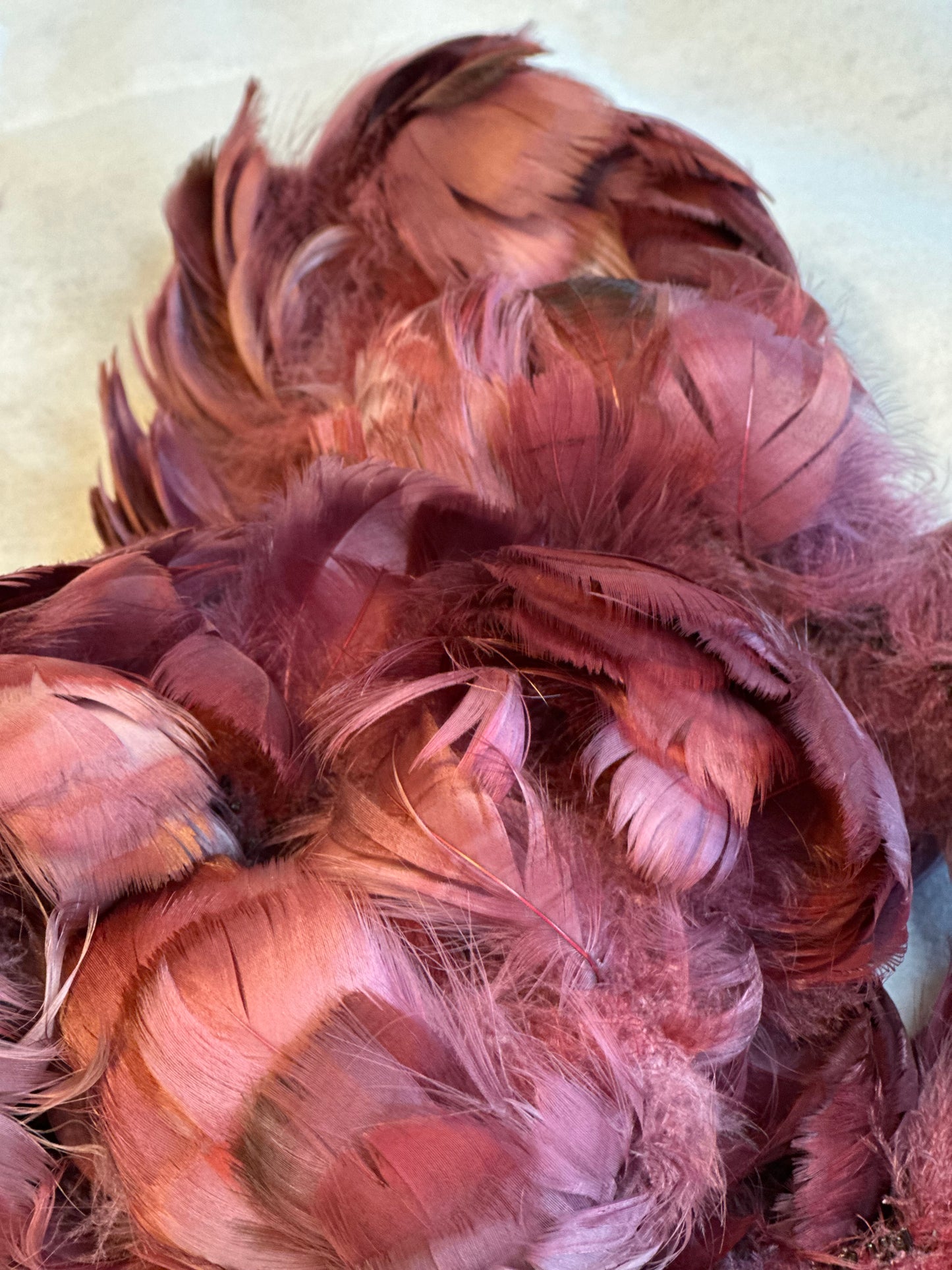 Custom-dyed Plums & Pink goose coquille feathers