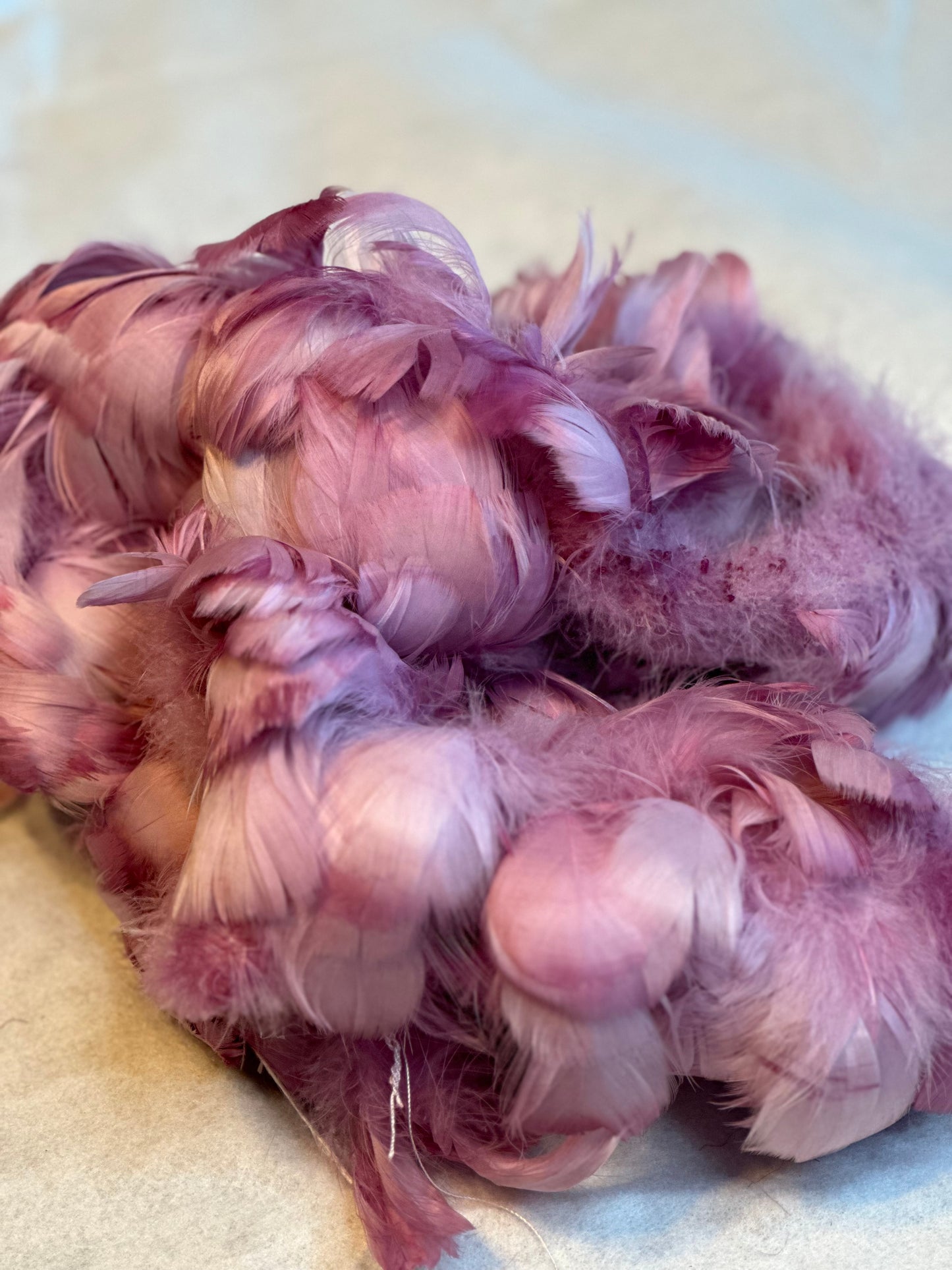 Custom-dyed Plums & Pink goose coquille feathers