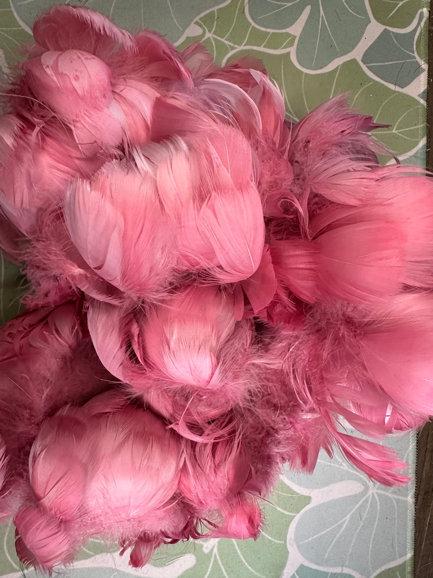 Custom-dyed Plums & Pink goose coquille feathers