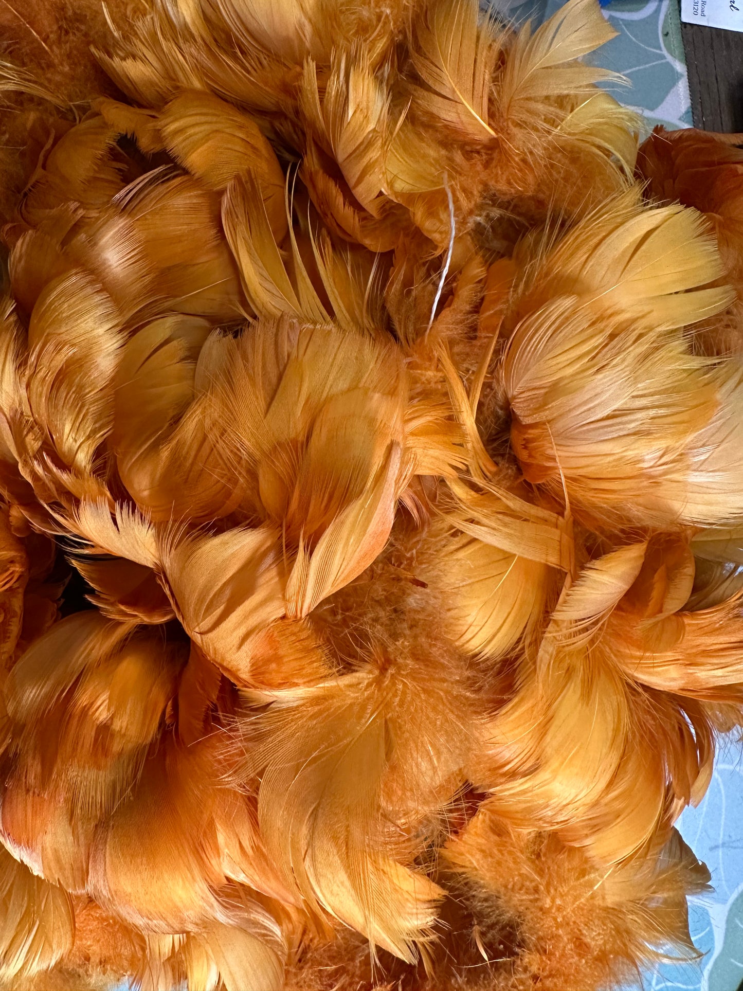 Custom-dyed Yellow & Orange Goose Coquille Feathers