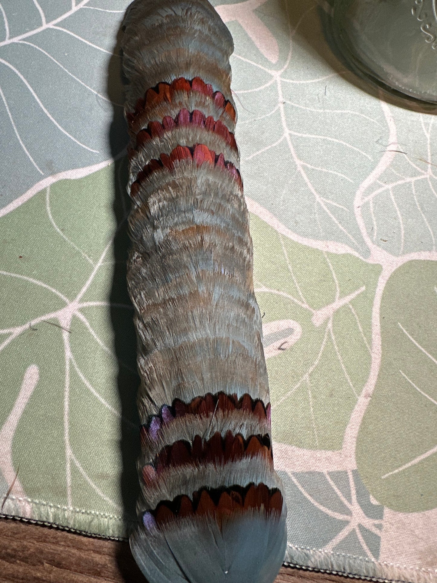 24" Custom-dyed steel blue and brown with heart accent humu papale (feather hatband)