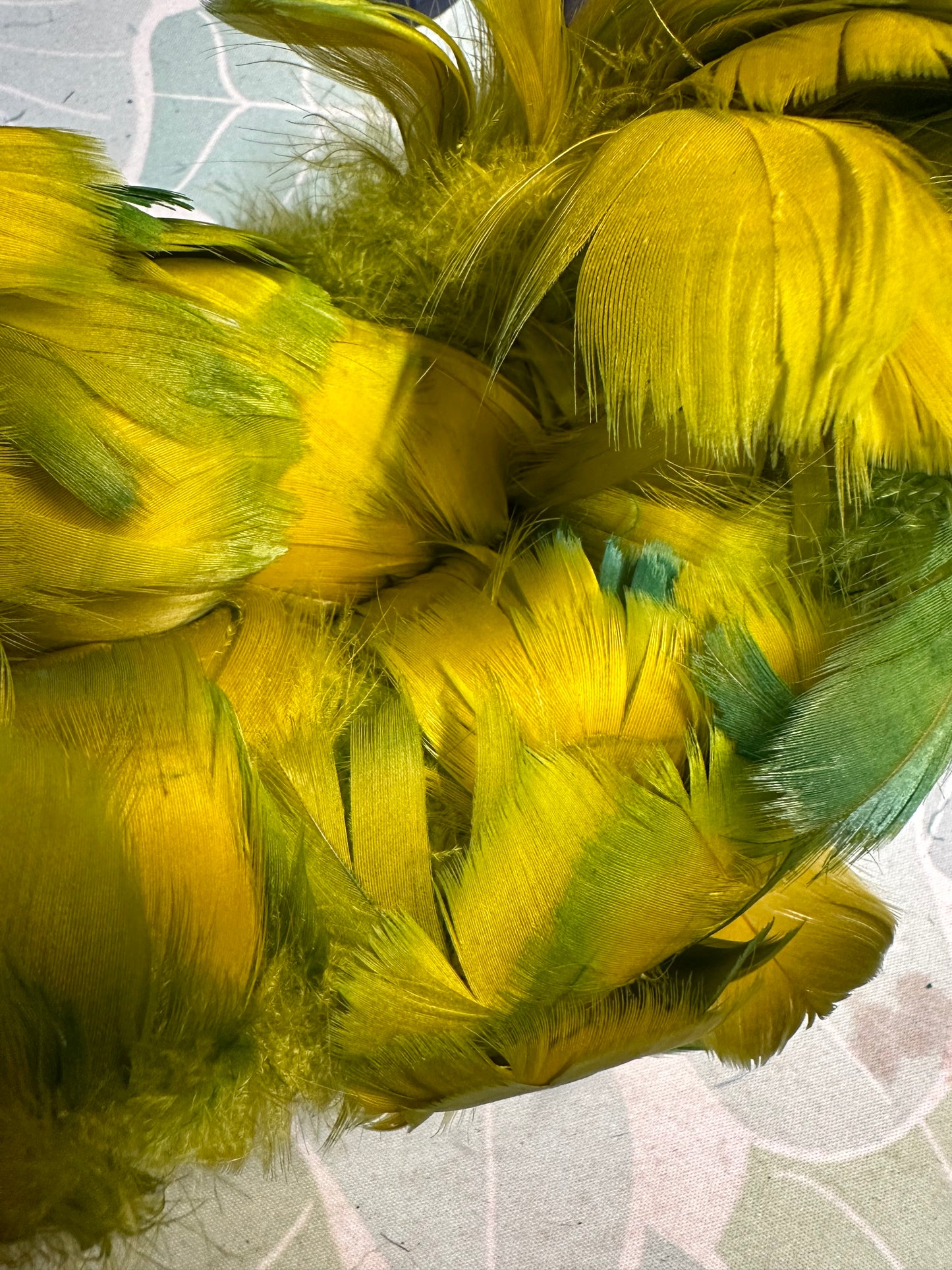 Custom-dyed Green Goose Coquille Feathers