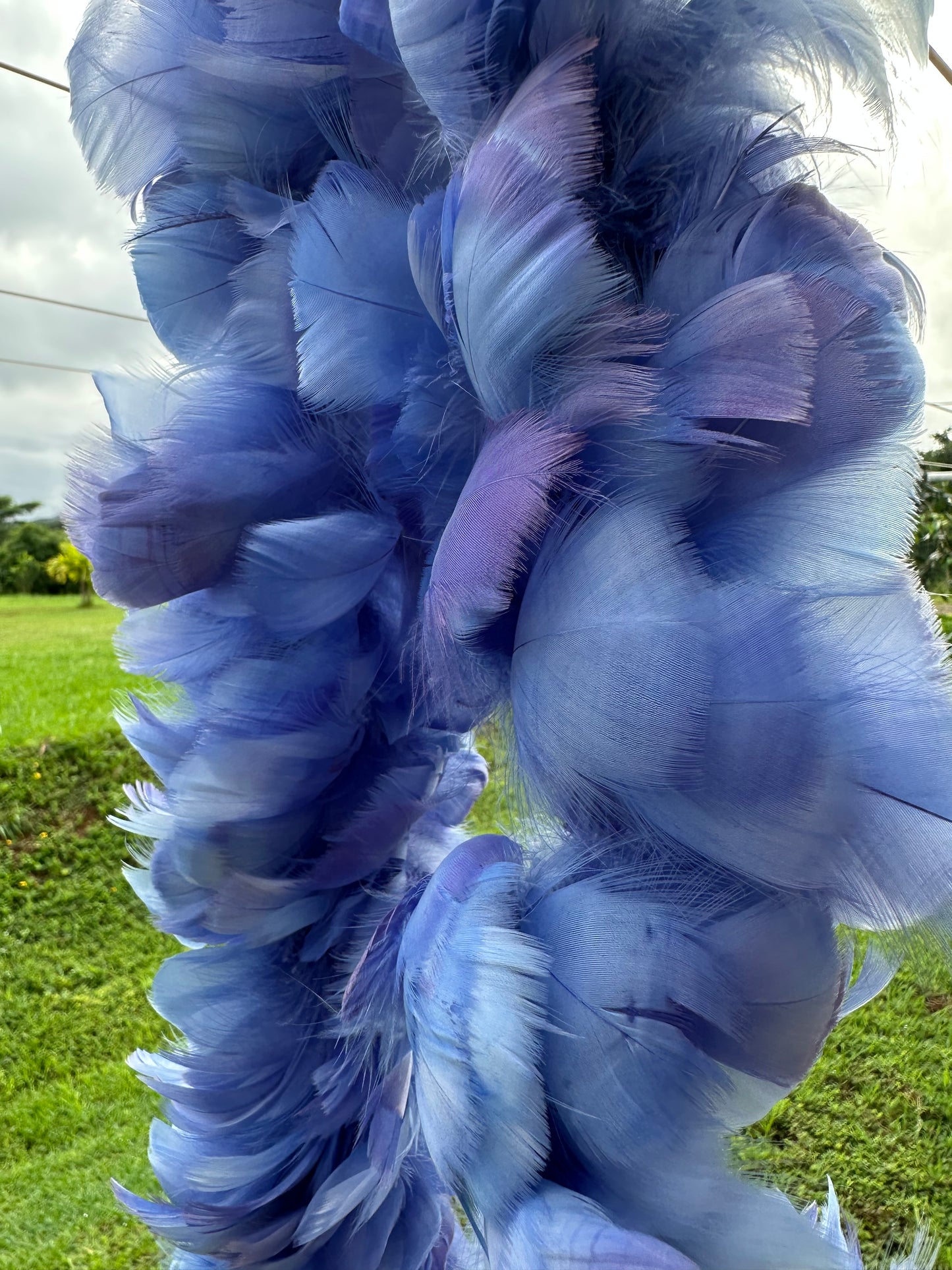 Custom-dyed Blues & Purple Goose Coquille feathers