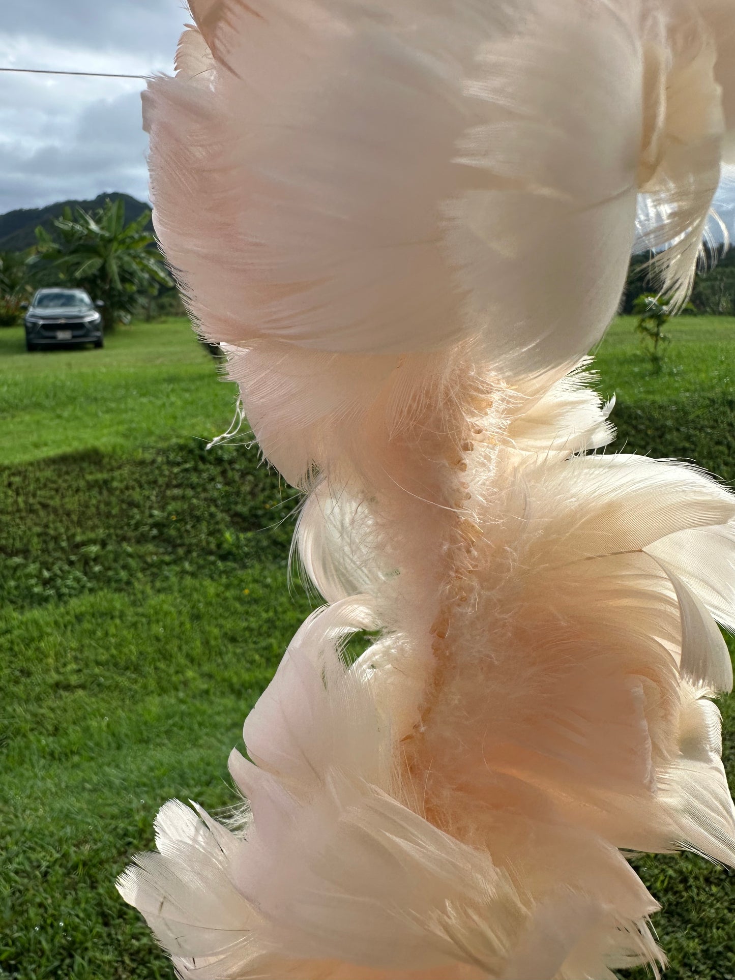 Custom-dyed Plums & Pink goose coquille feathers