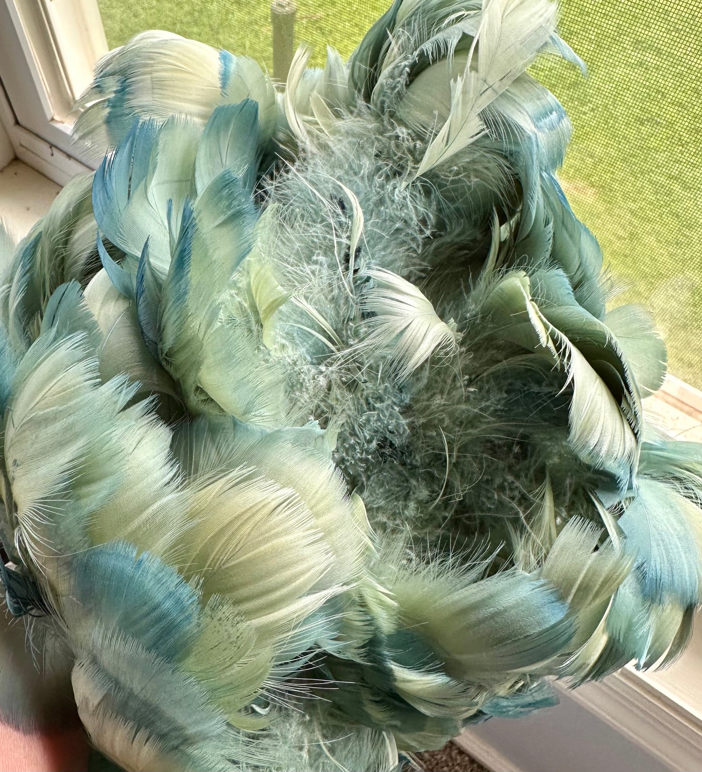 Custom-dyed Green Goose Coquille Feathers