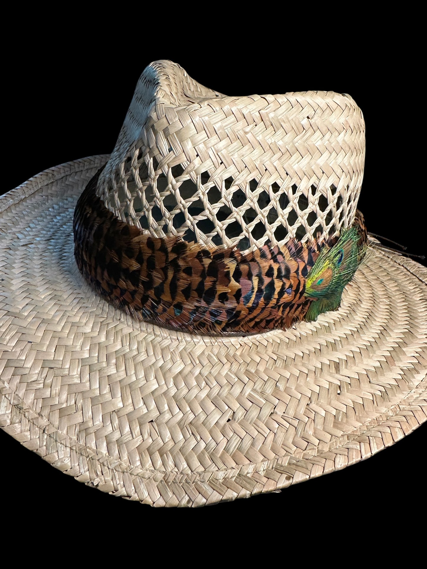 25" Ringneck Pheasant tips with Peacock eye medallion humu papale (feather hat band)