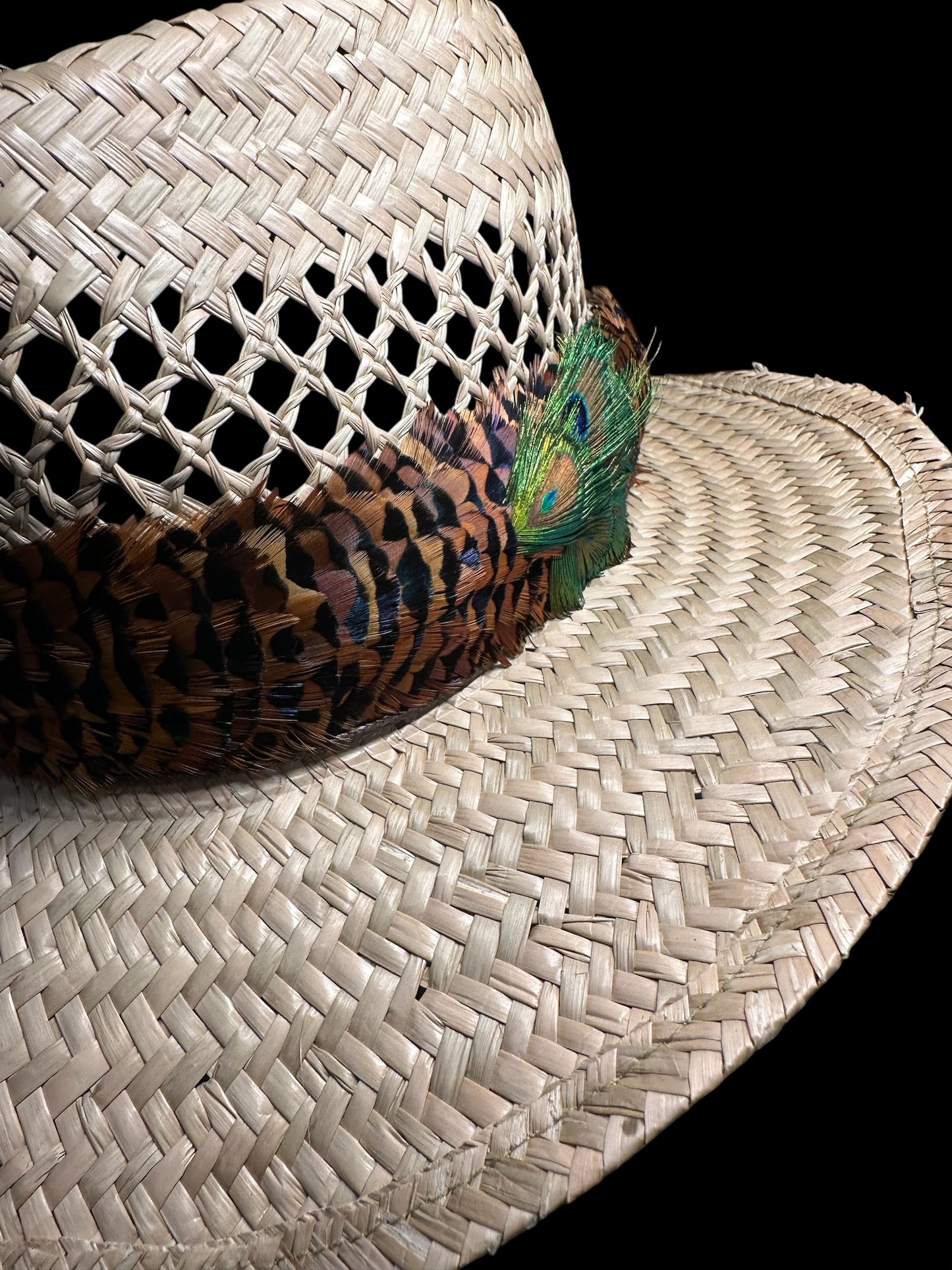 25" Ringneck Pheasant tips with Peacock eye medallion humu papale (feather hat band)