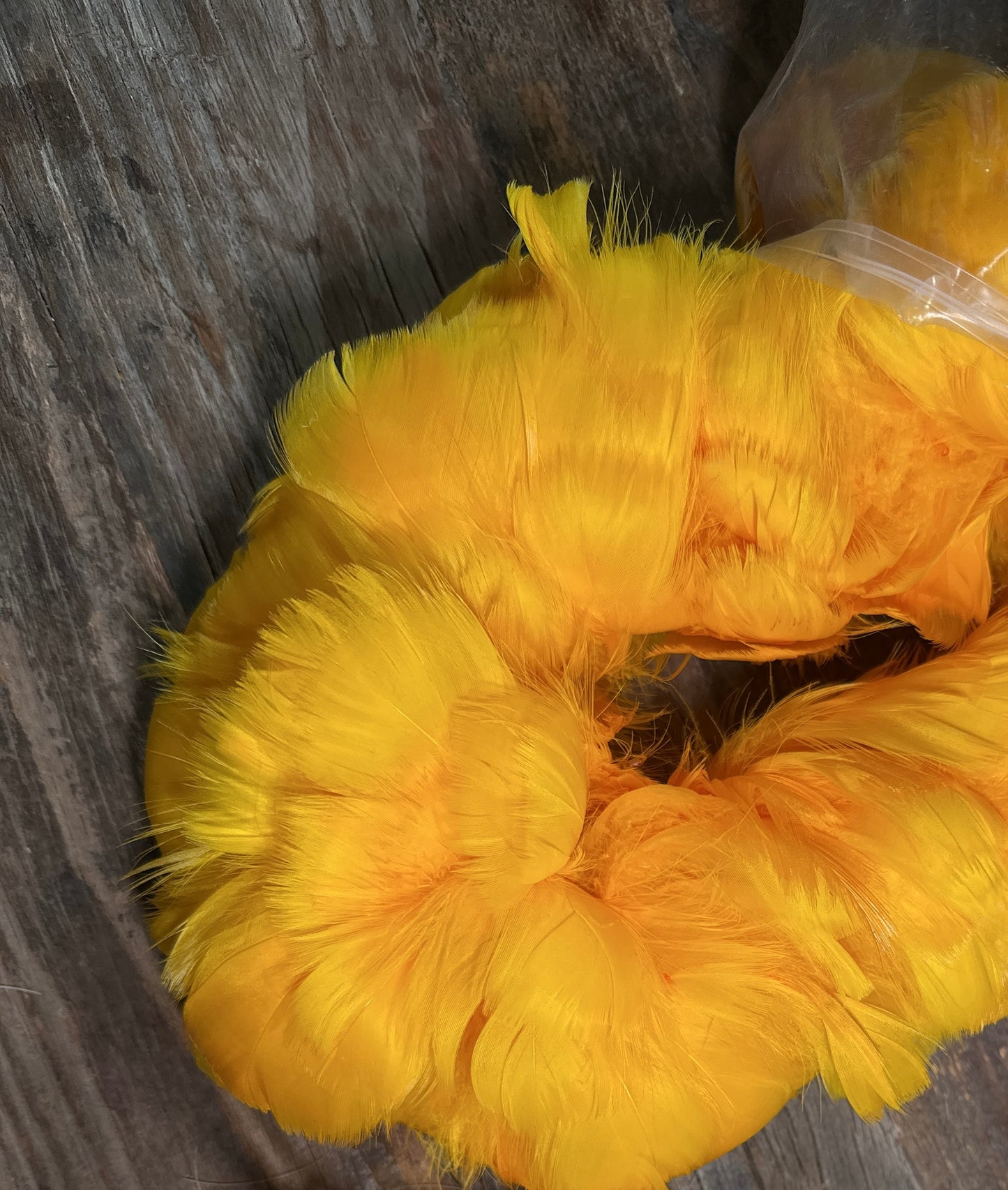Humu papale (feather hat band) class - Kaua'i Museum. MAY 9, 2025 11am-2pm