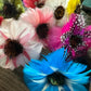 Pua Class at Kauai Museum - Oct 6