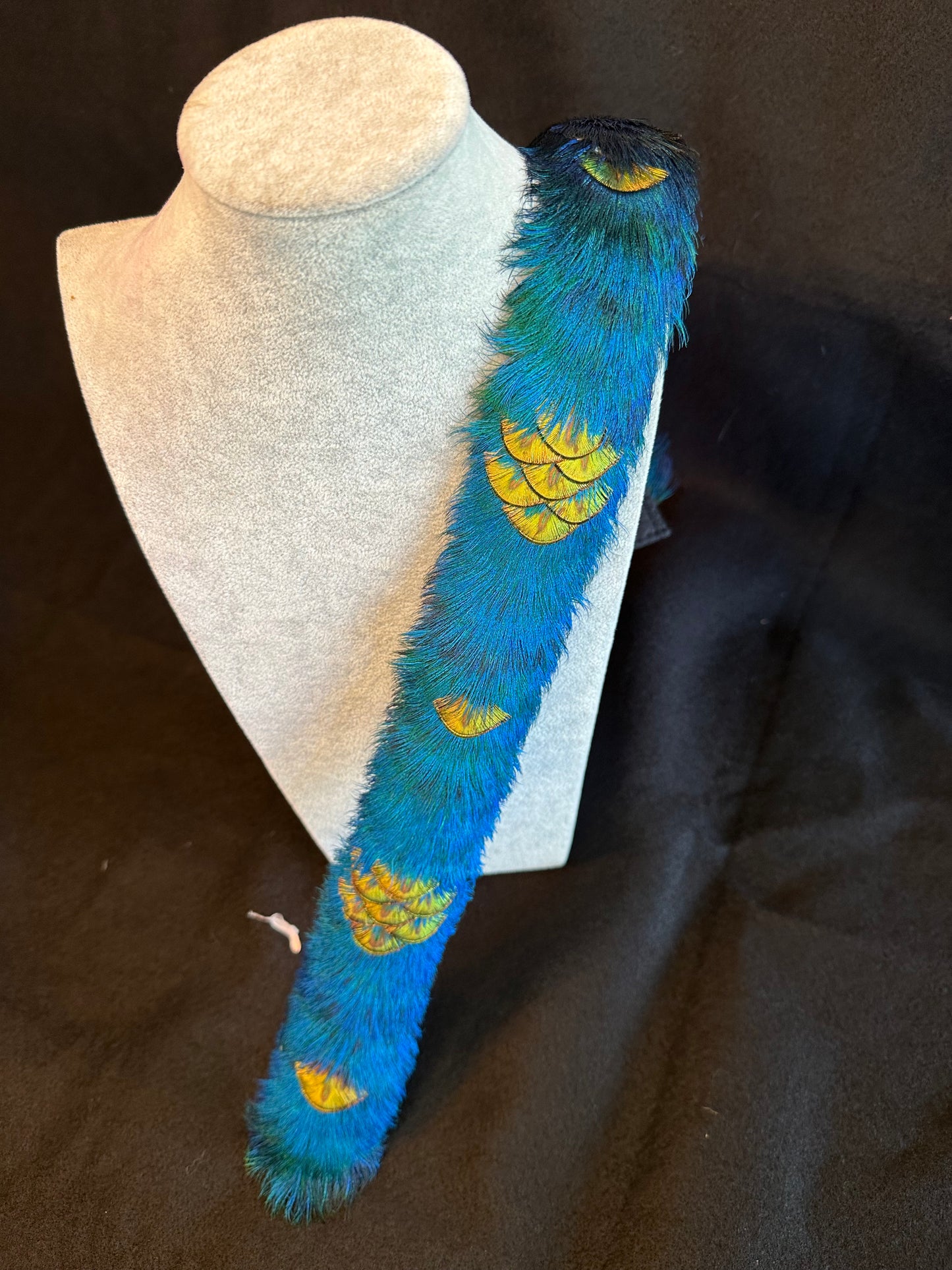 25" Blue Peacock with "gold penny" peacock accent Humu Papale ( feather hat band)