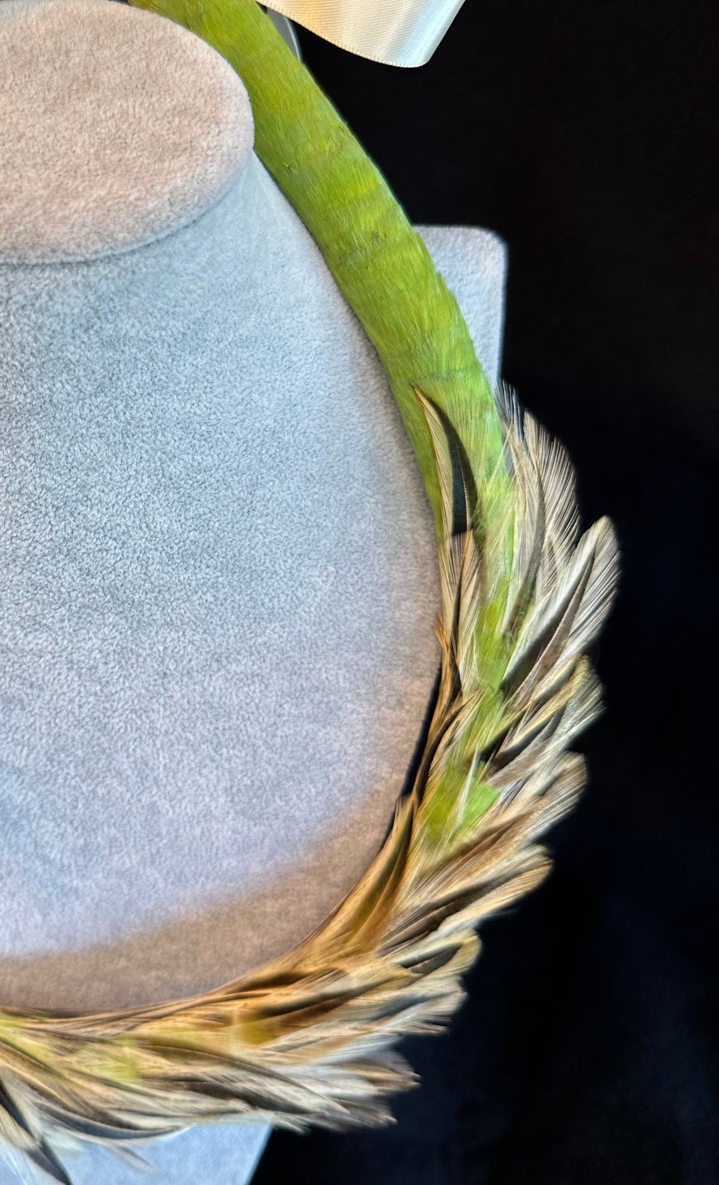 Asymmetric Light Olive Lei Hulu (feather lei) with "badger" rooster accents