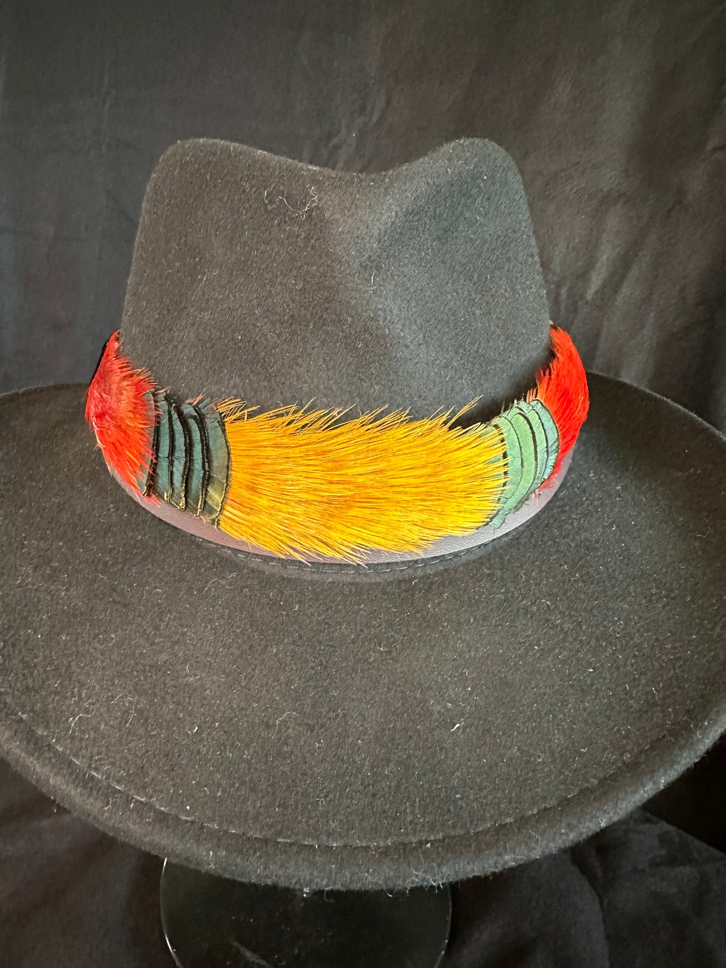 Golden Pheasant humu papale (feather hatband)