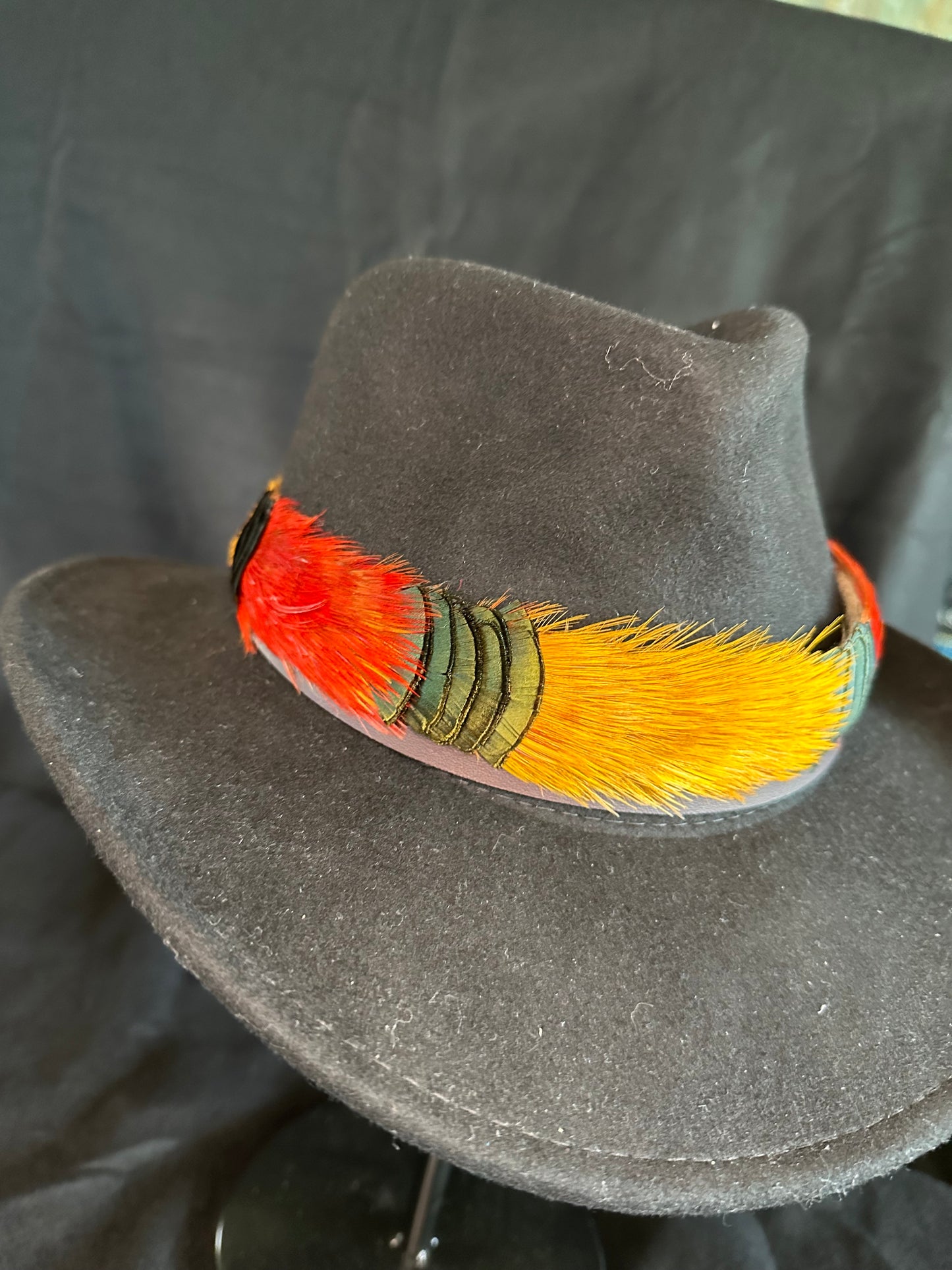 Golden Pheasant humu papale (feather hatband)