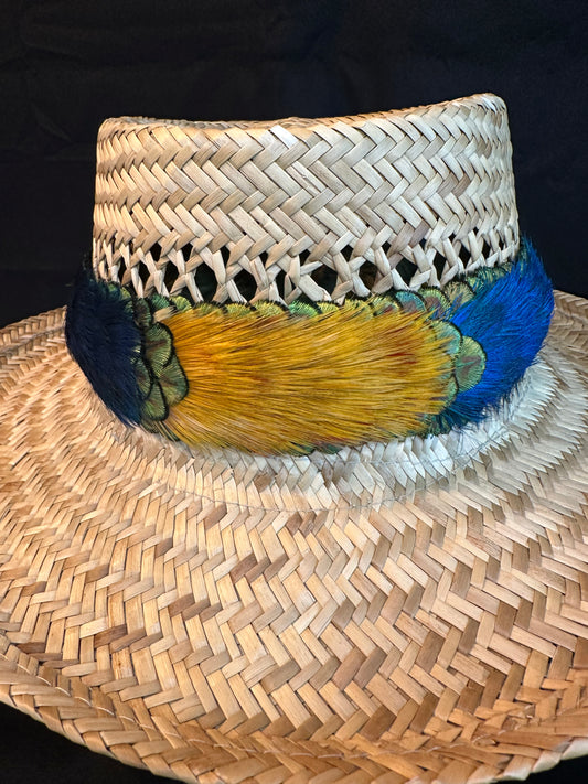 25" Hilo Style Peacock and Golden Pheasant Humu Papale (feather hatband)