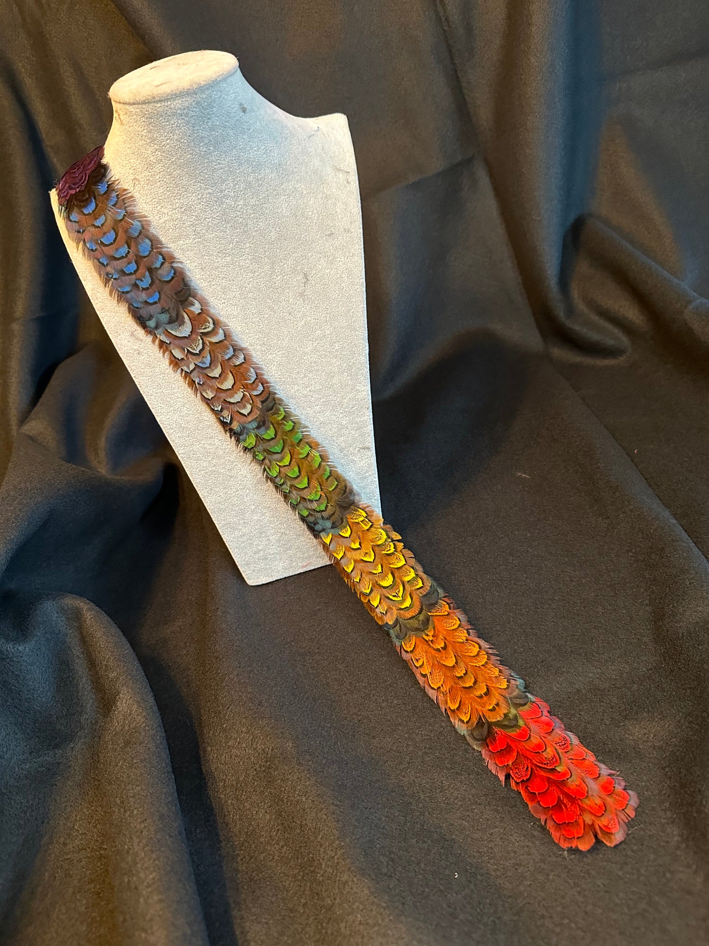 22-1/2" Rainbow Ringneck Pheasant dyed almond feather humu papale (feather hatband)
