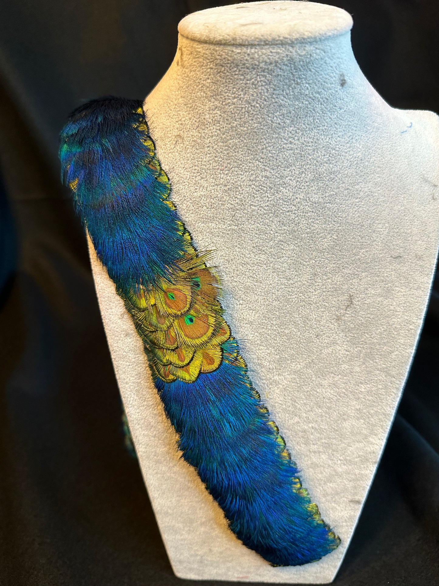25' Blue Peacock w/Hilo style Gold Pennies and side medallion humu papale (hatband)