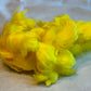 Custom-dyed Yellow & Orange Goose Coquille Feathers