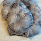 Custom-dyed Brown & Gray Goose Coquille Feathers