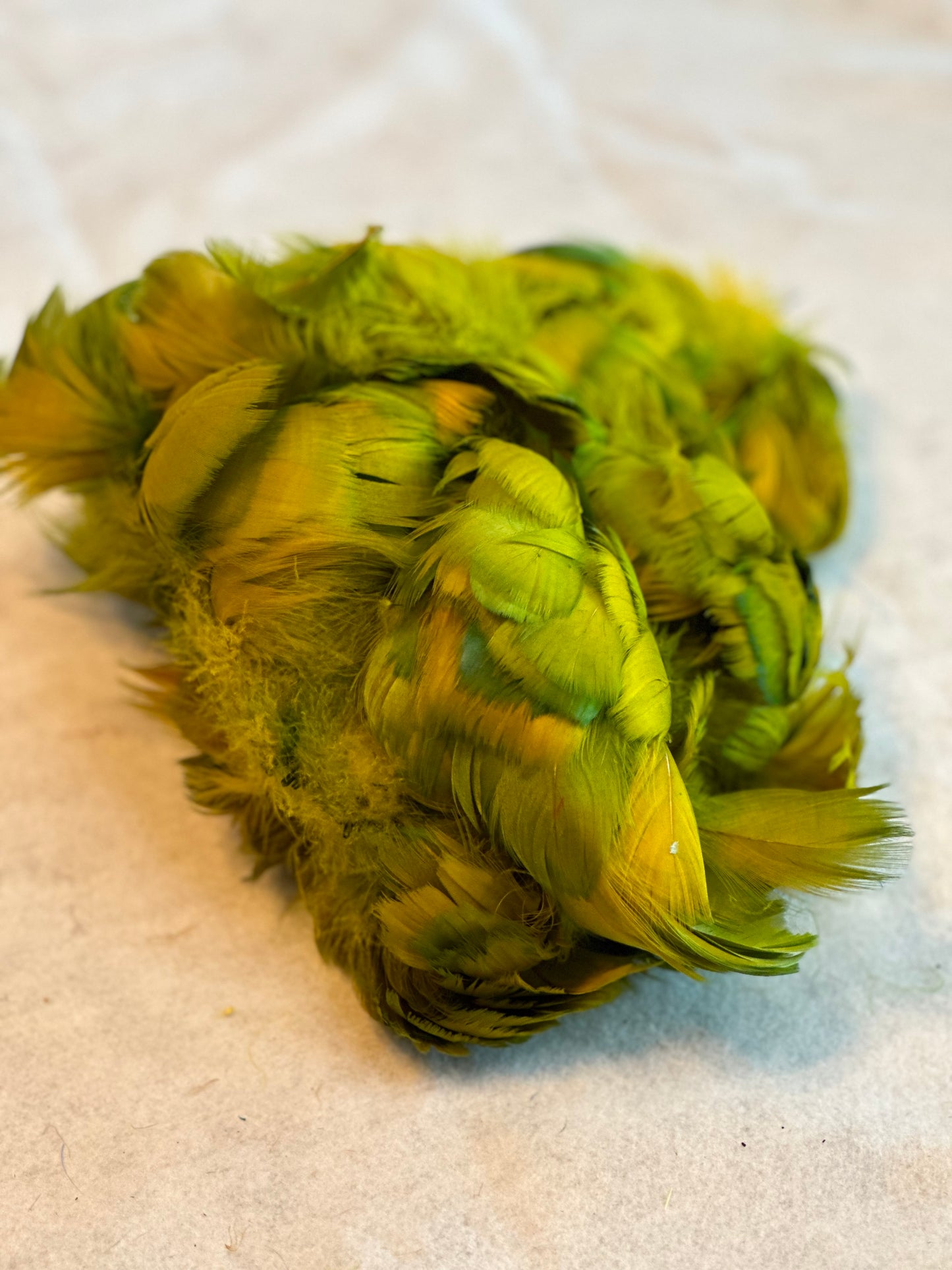 Custom-dyed Green Goose Coquille Feathers