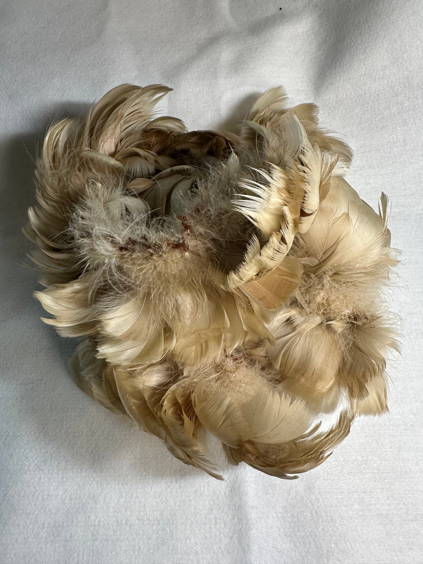 Custom-dyed Brown & Gray Goose Coquille Feathers