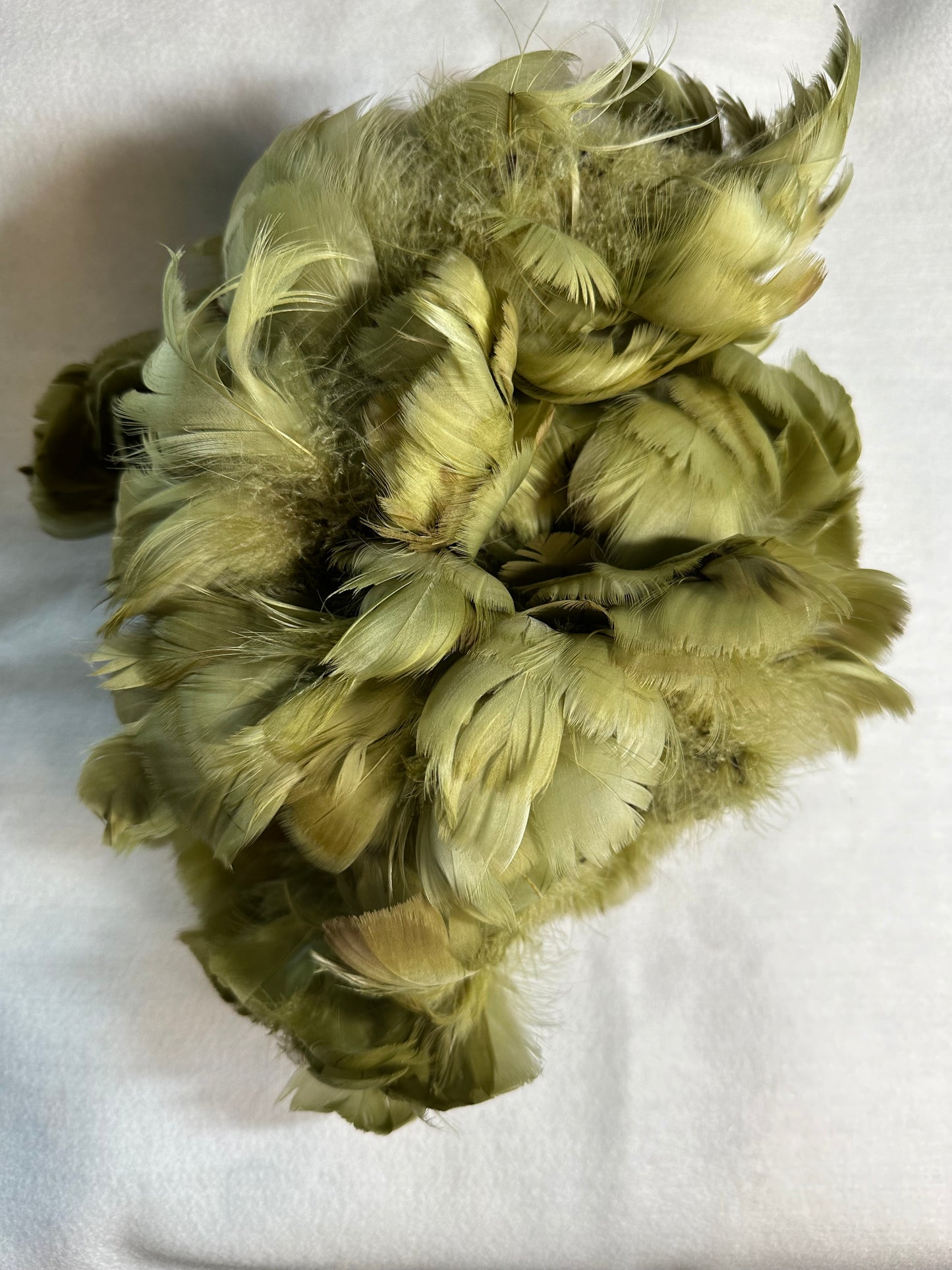 Custom-dyed Green Goose Coquille Feathers