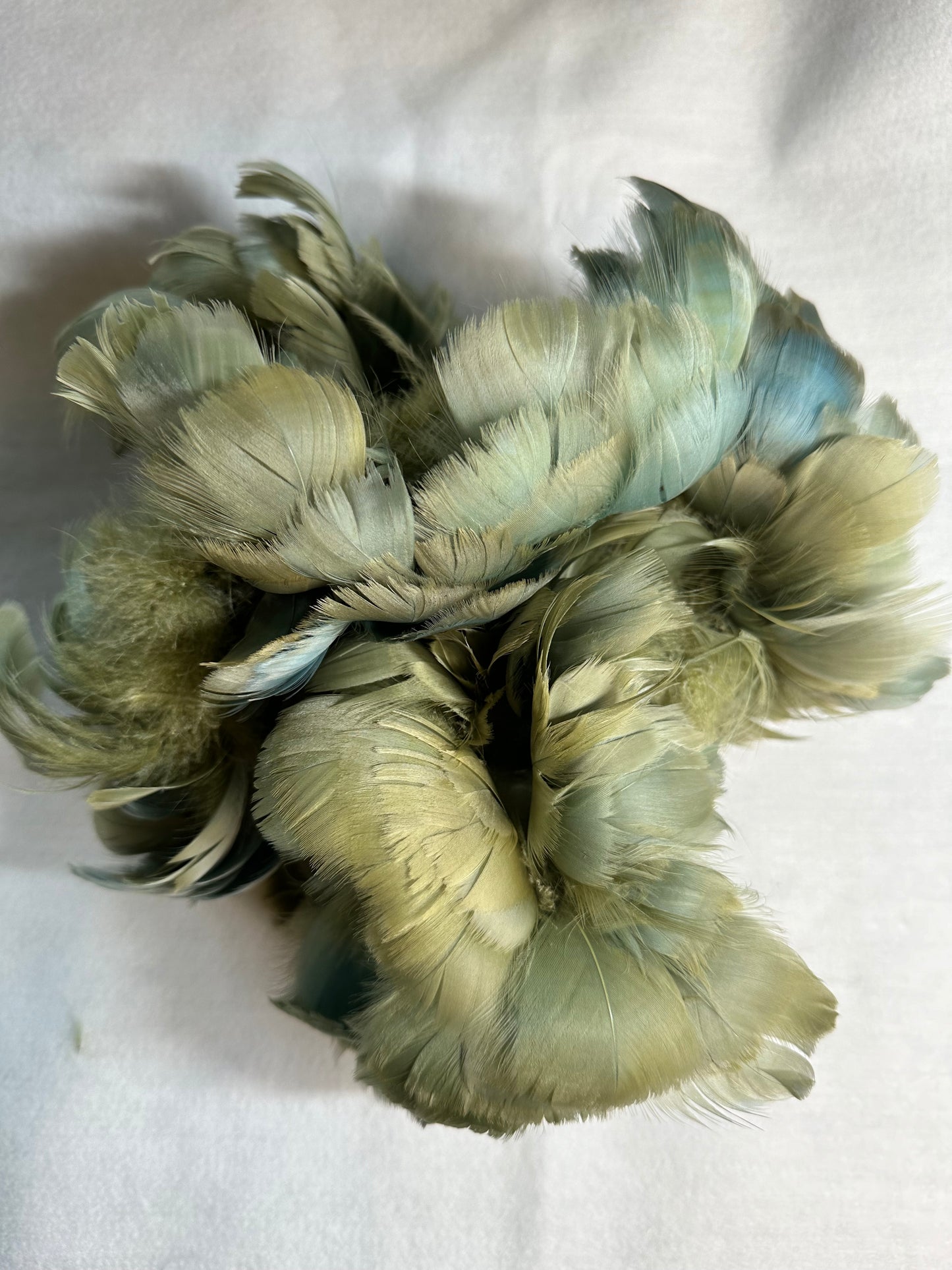 Custom-dyed Green Goose Coquille Feathers