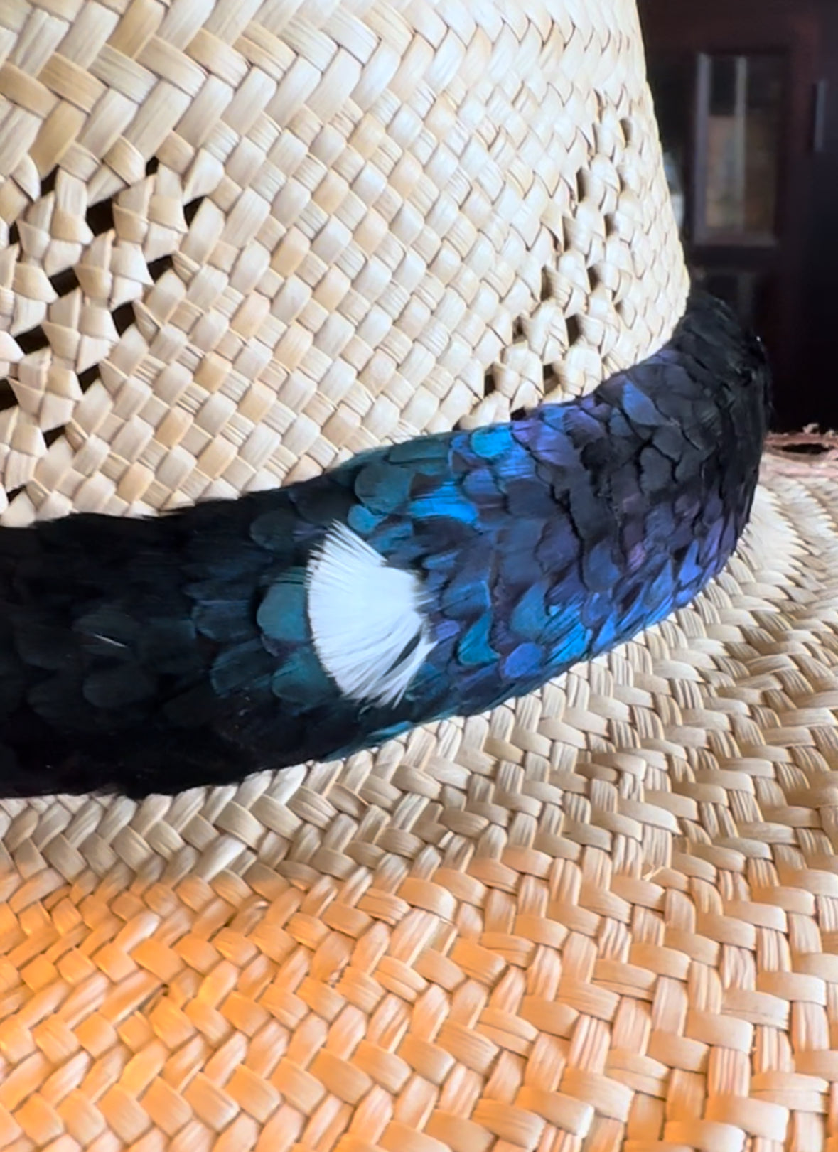 23-1/2" Blue Melanistic Pheasant Humu Papale (feather hat band)