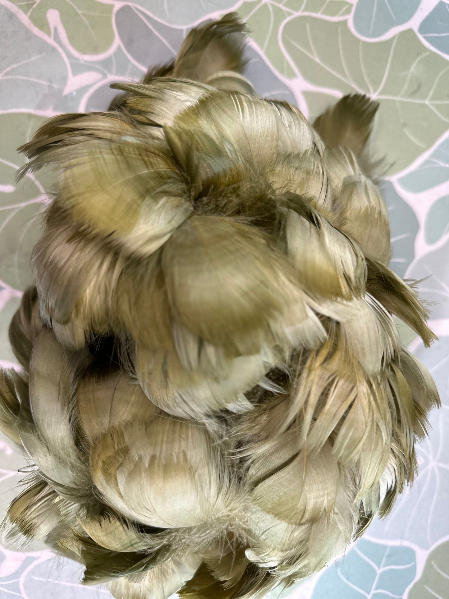 Custom-dyed Green Goose Coquille Feathers