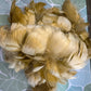 Kaua'i Museum classes Humu Papale (feather hat band) Sep 25, 2026 (9am-12pm)