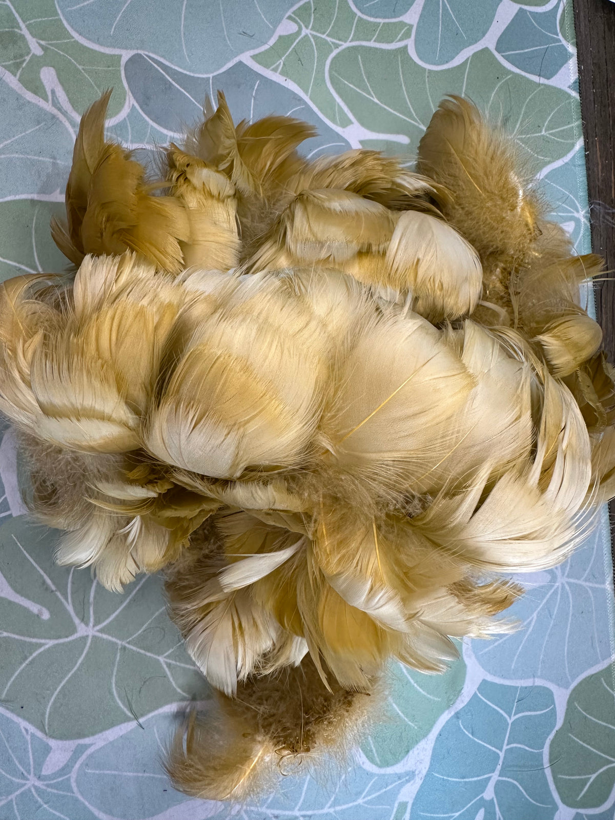 Kaua'i Museum classes Humu Papale (feather hat band) Sep 25, 2026 (9am-12pm)