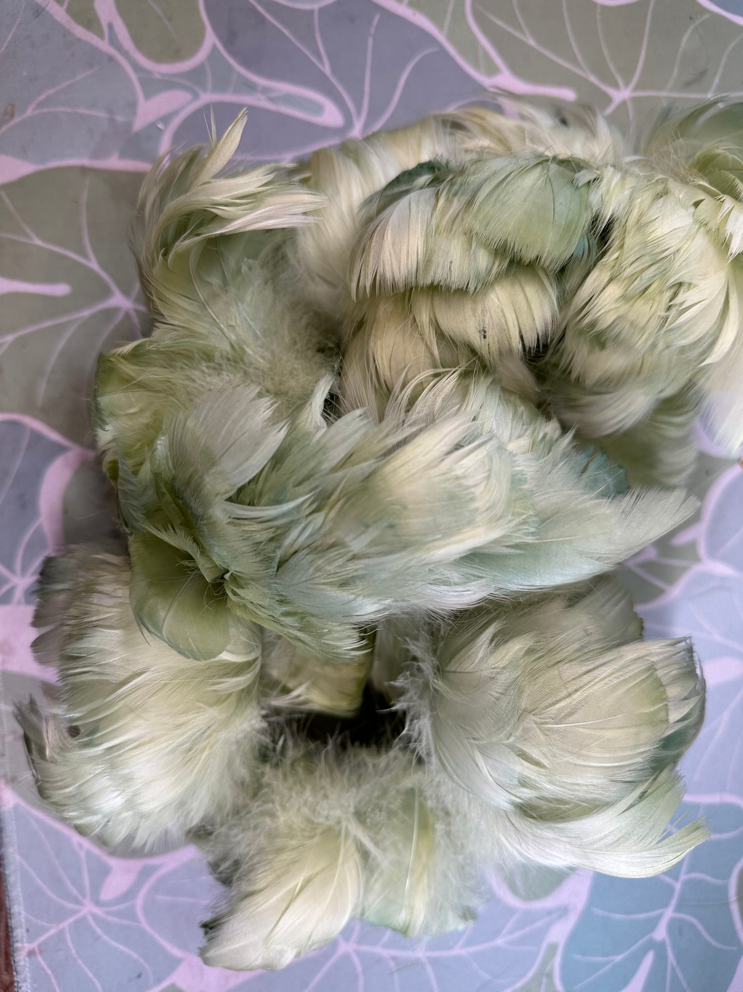 Custom-dyed Green Goose Coquille Feathers