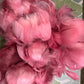 Custom-dyed Plums & Pink goose coquille feathers