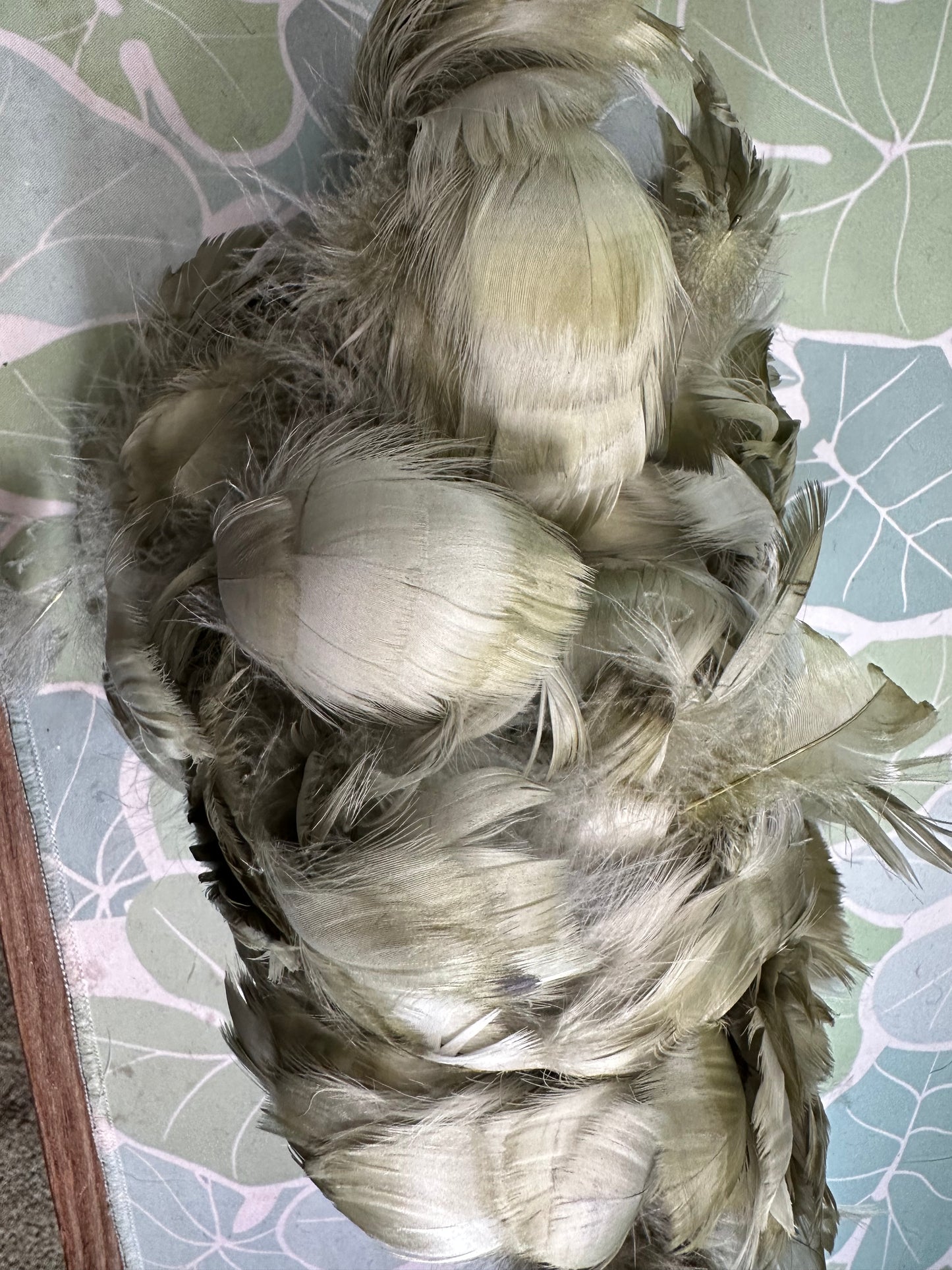 Custom-dyed Green Goose Coquille Feathers