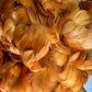 Custom-dyed Yellow & Orange Goose Coquille Feathers