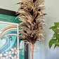 Kahili made from various rooster feathers