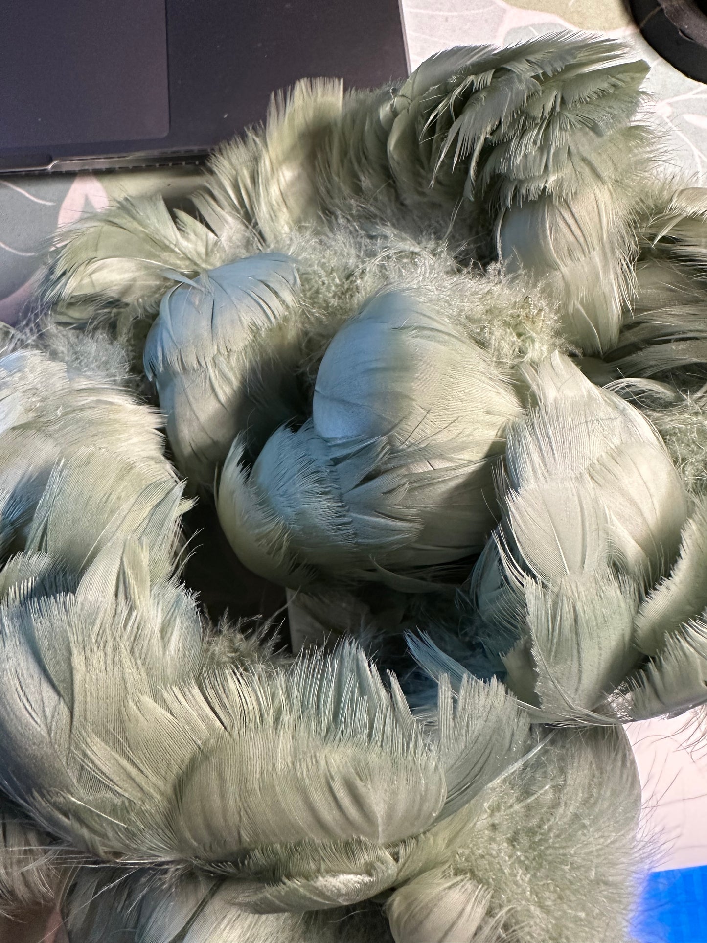 Custom-dyed Green Goose Coquille Feathers
