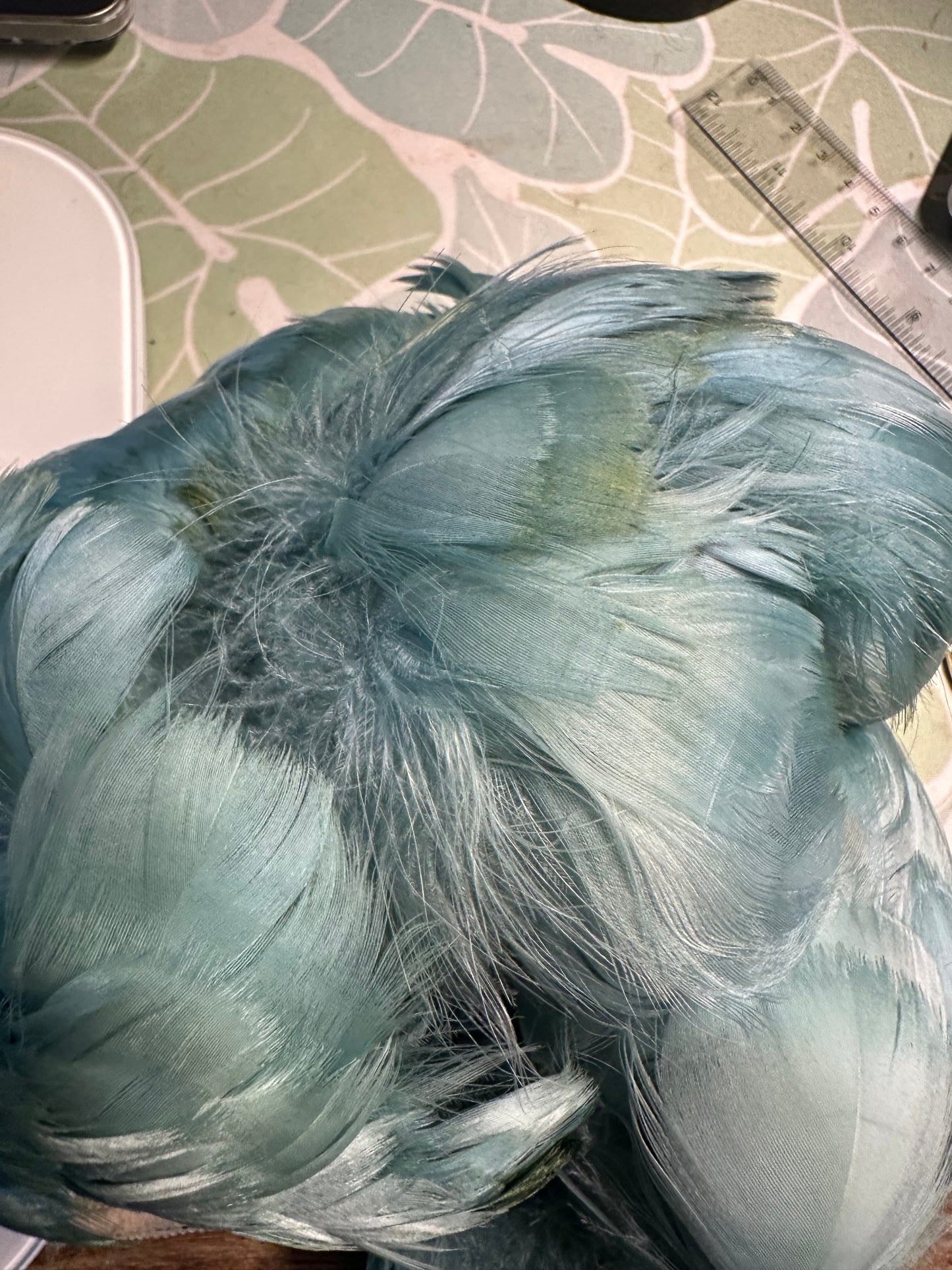 Custom-dyed Green Goose Coquille Feathers